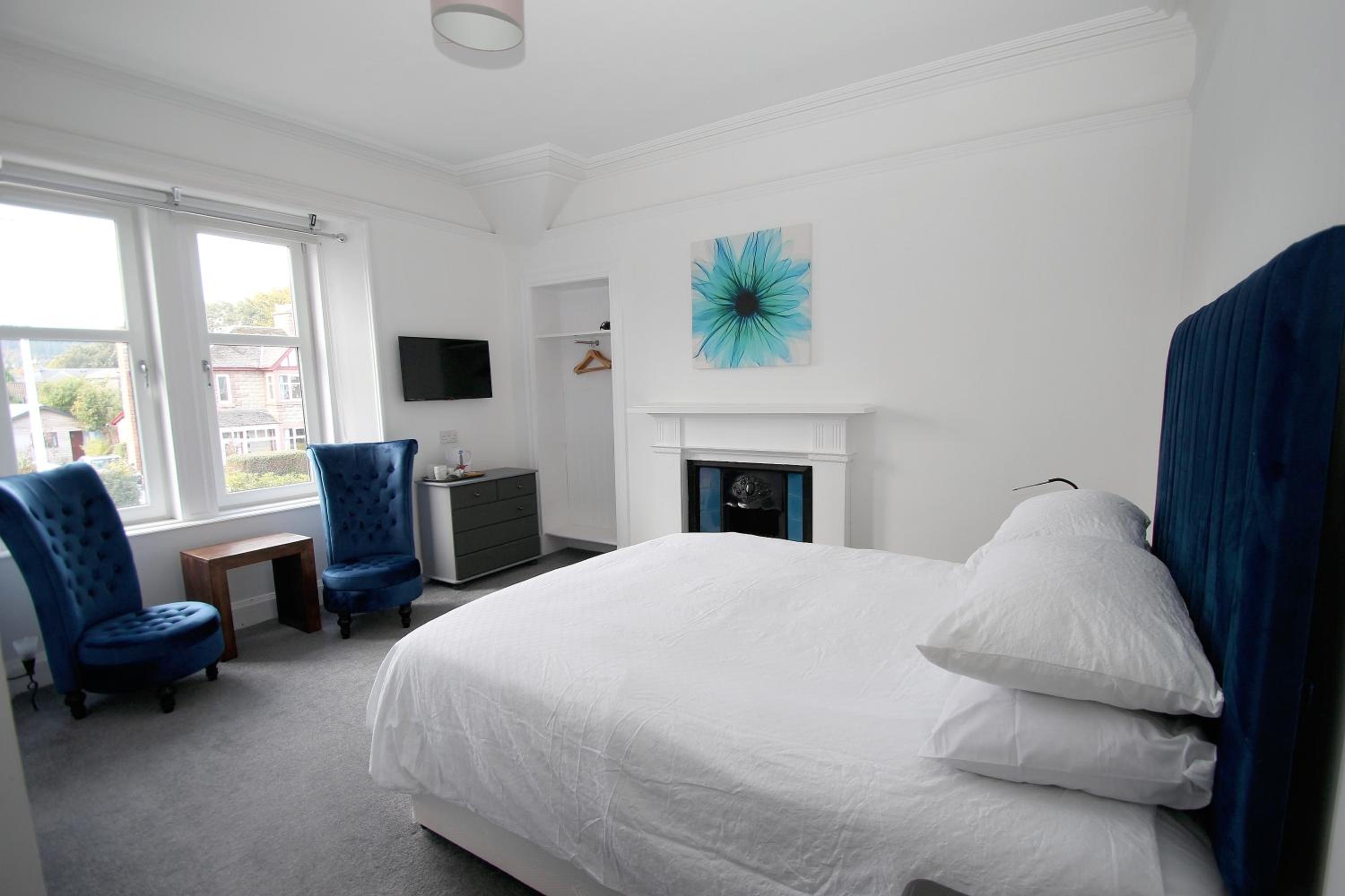 King Room photo 1