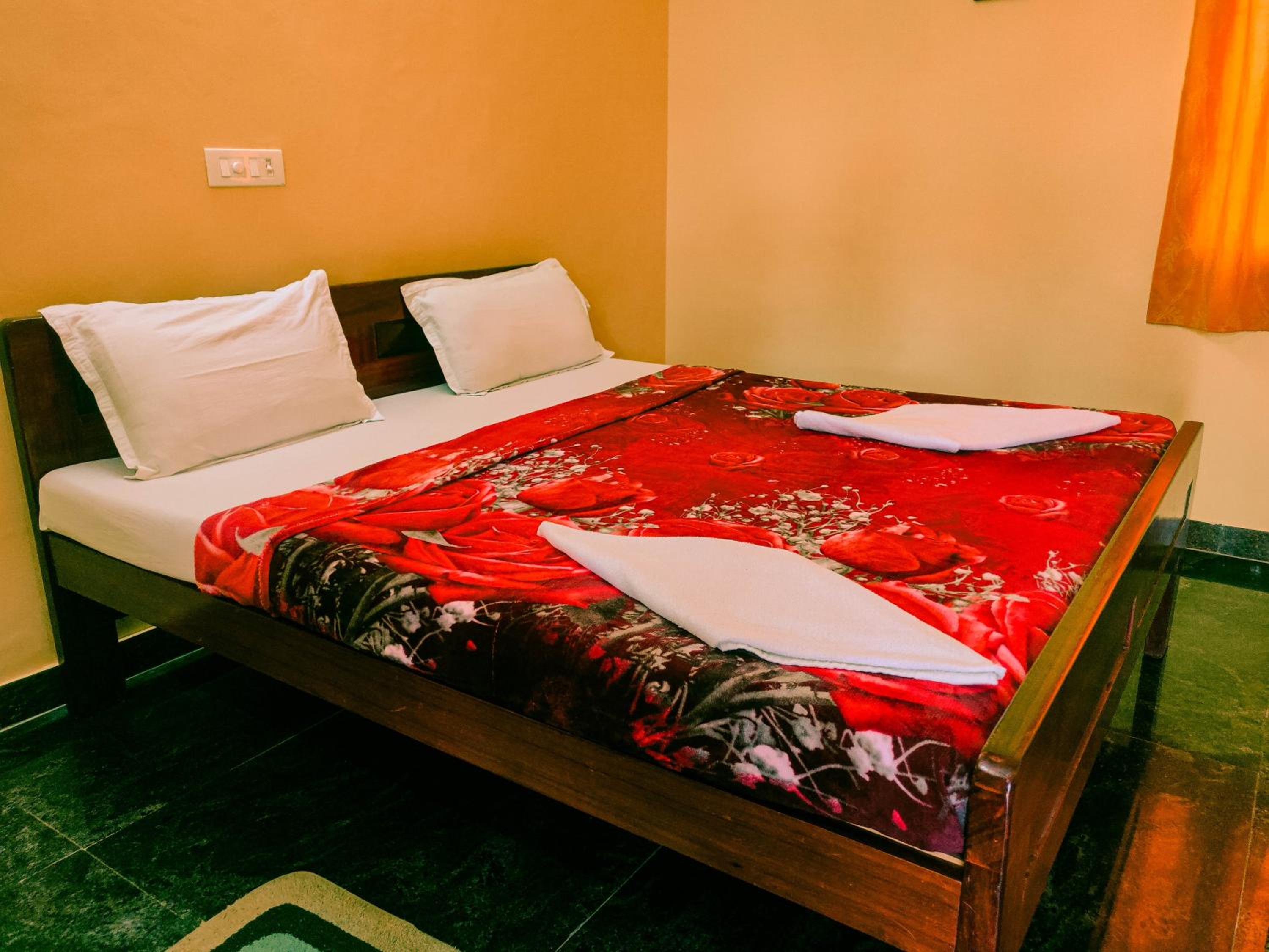 Deluxe Double Room photo 3