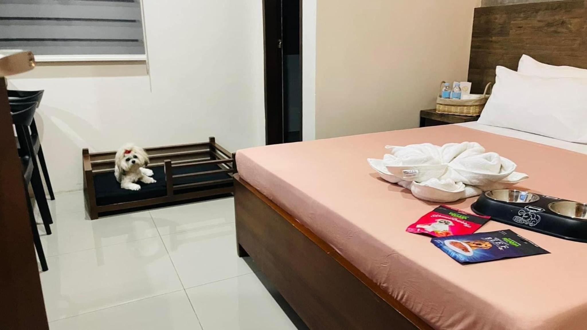 Superior Double or Twin Room - Photo 9