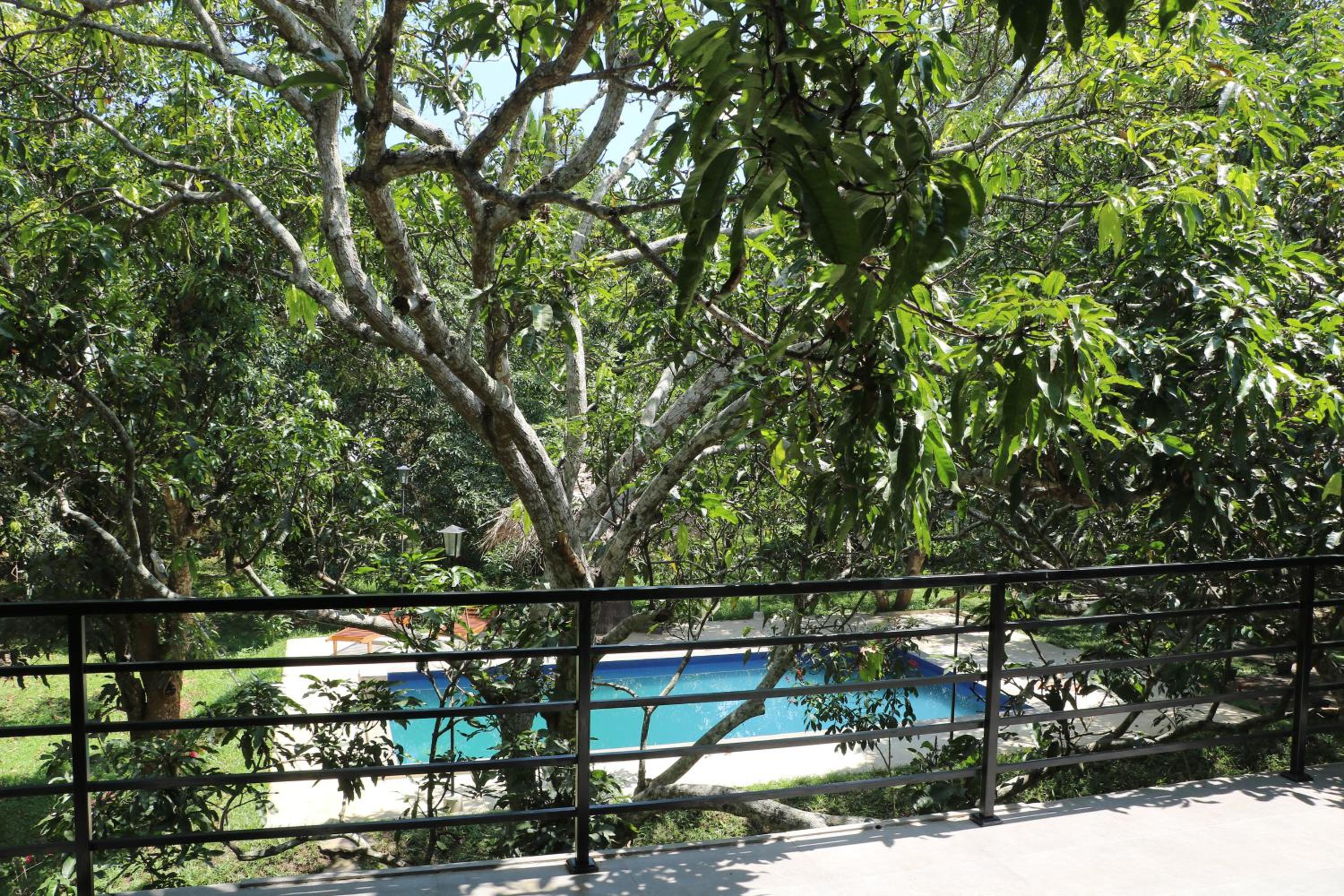 King Room with Pool View photo 3