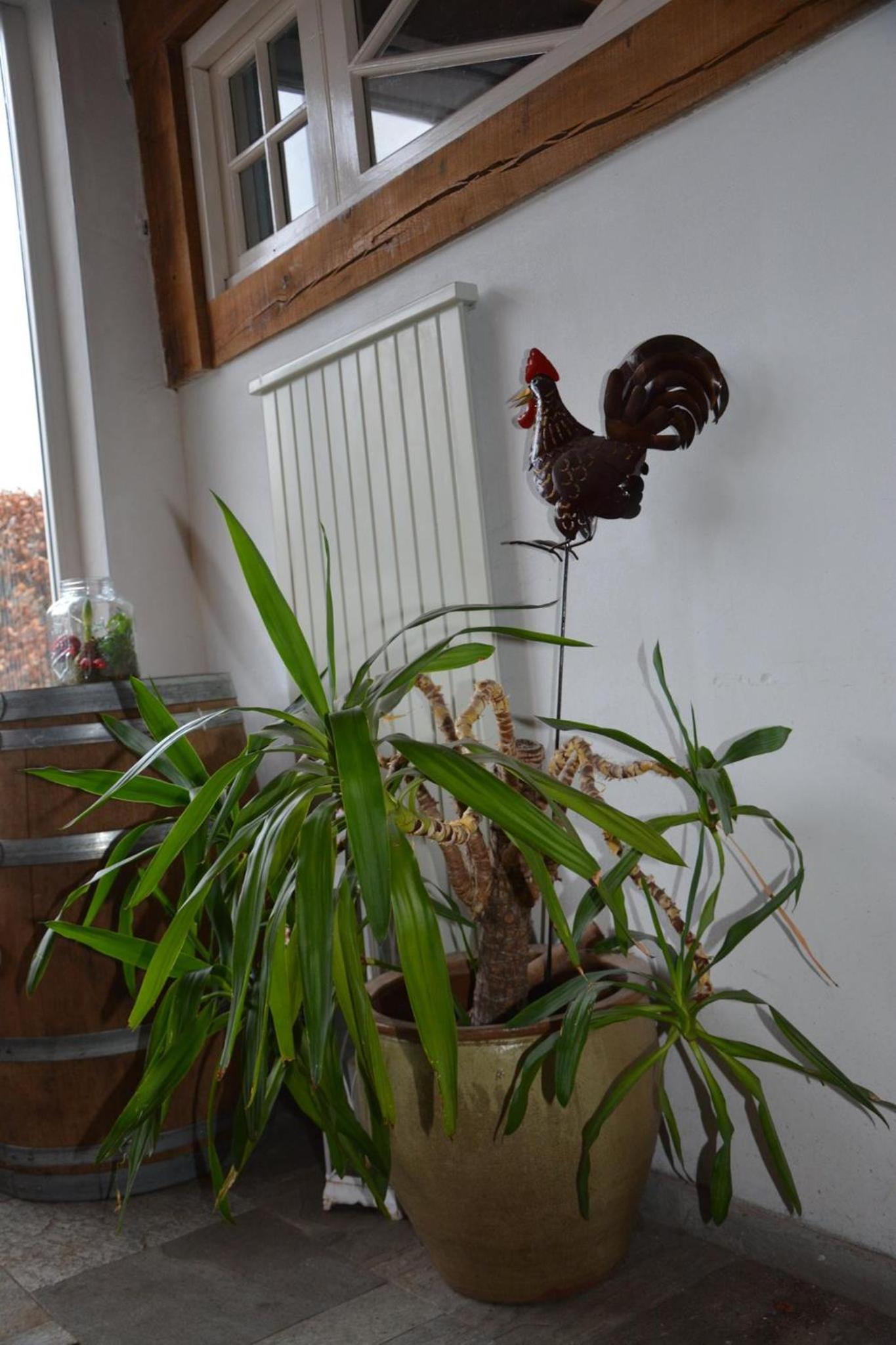 Two-Bedroom Apartment - Photo 12