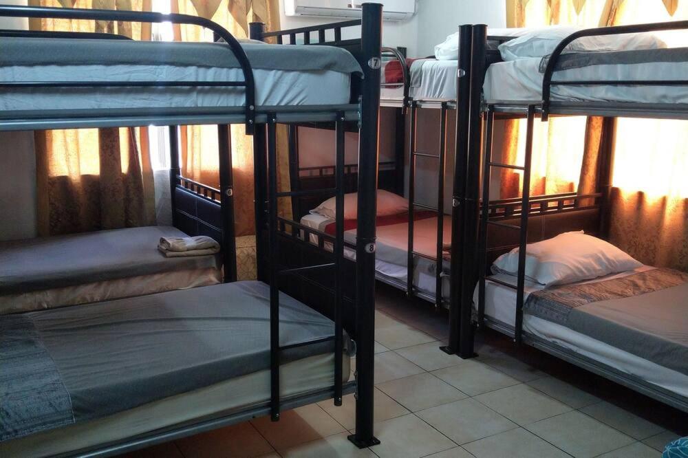 Single Bed in Mixed Dormitory Room photo 1