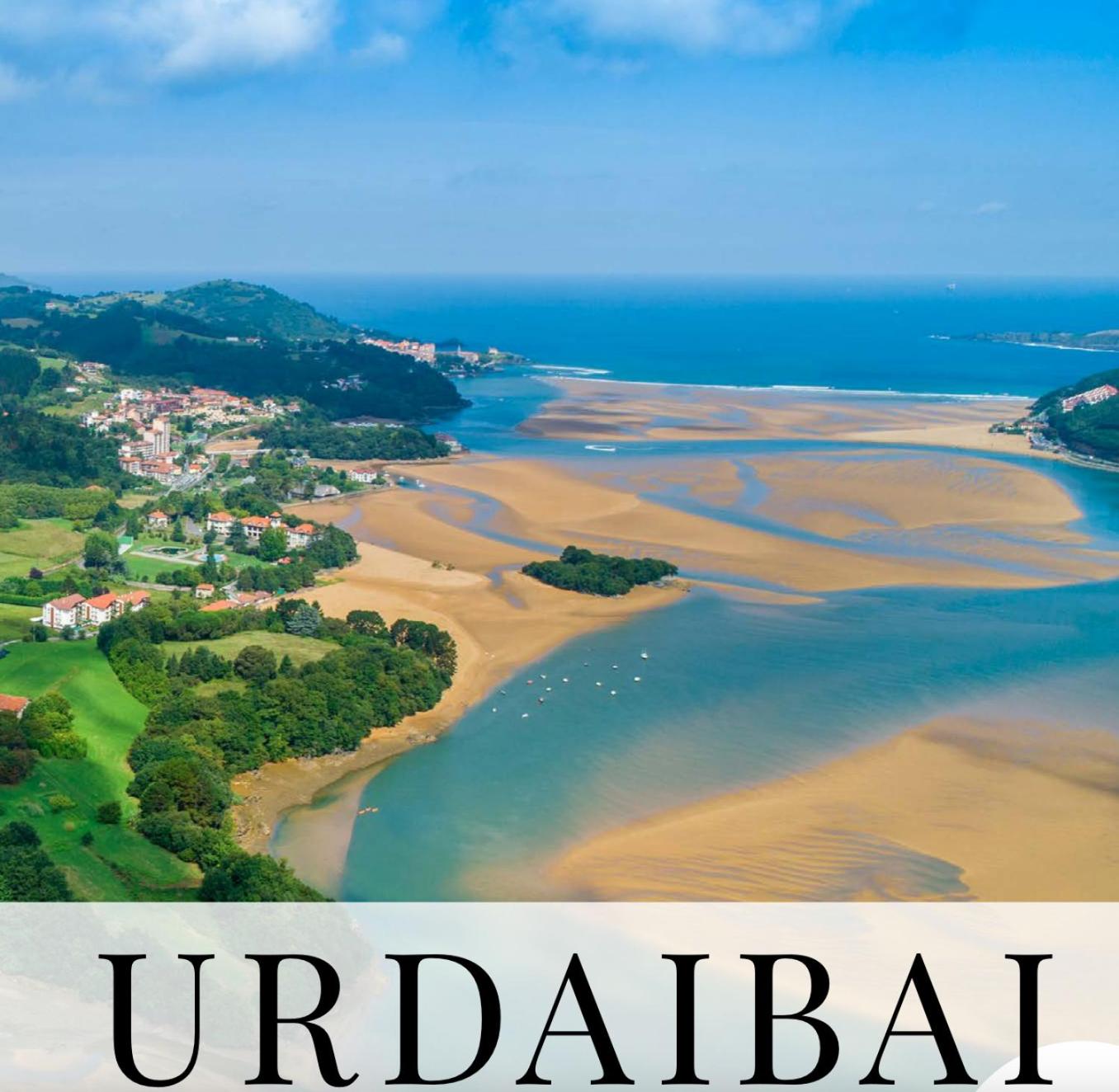 One-Bedroom Apartment - Photo 8