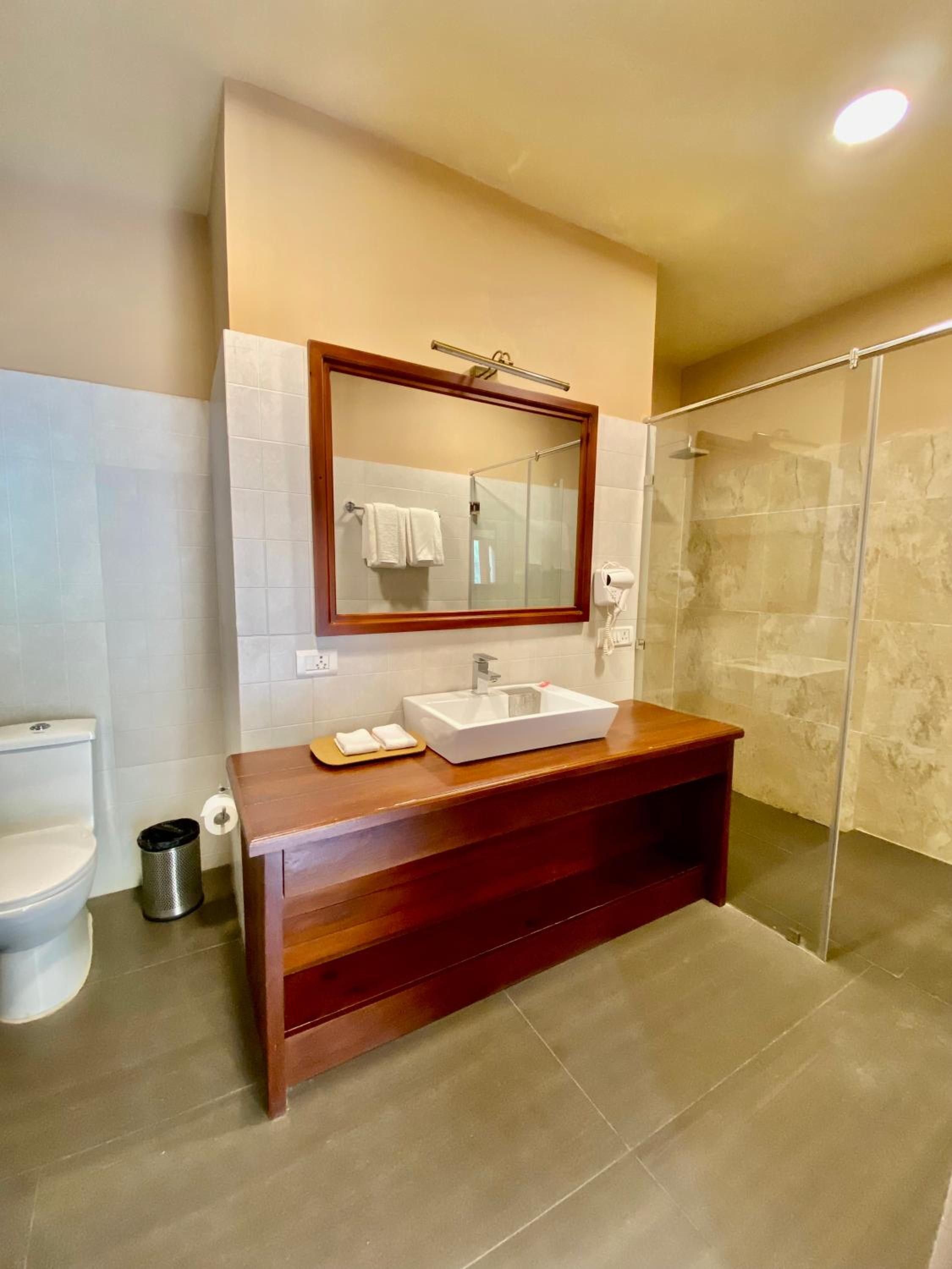 Deluxe Twin Room photo 1