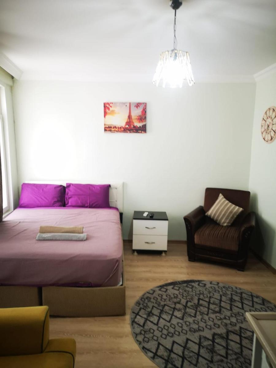 One-Bedroom Apartment photo 2