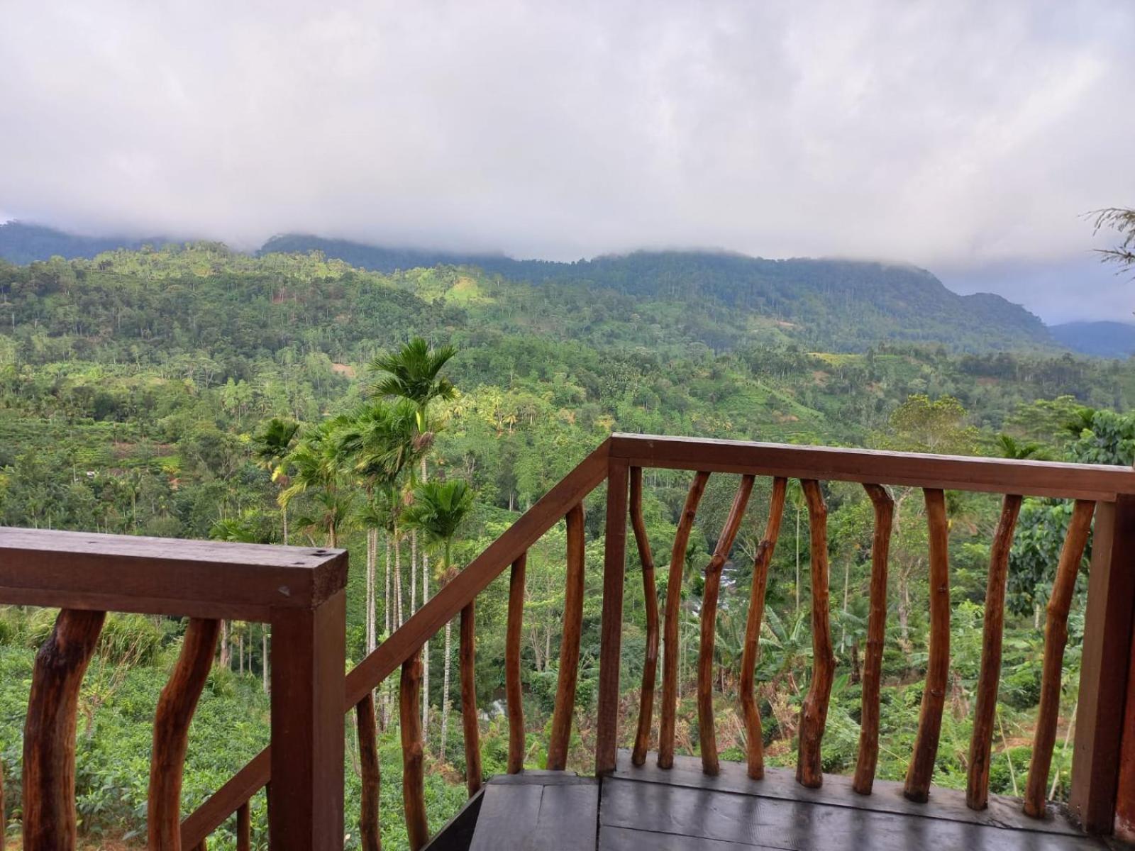Deluxe Double Room with Balcony photo 3