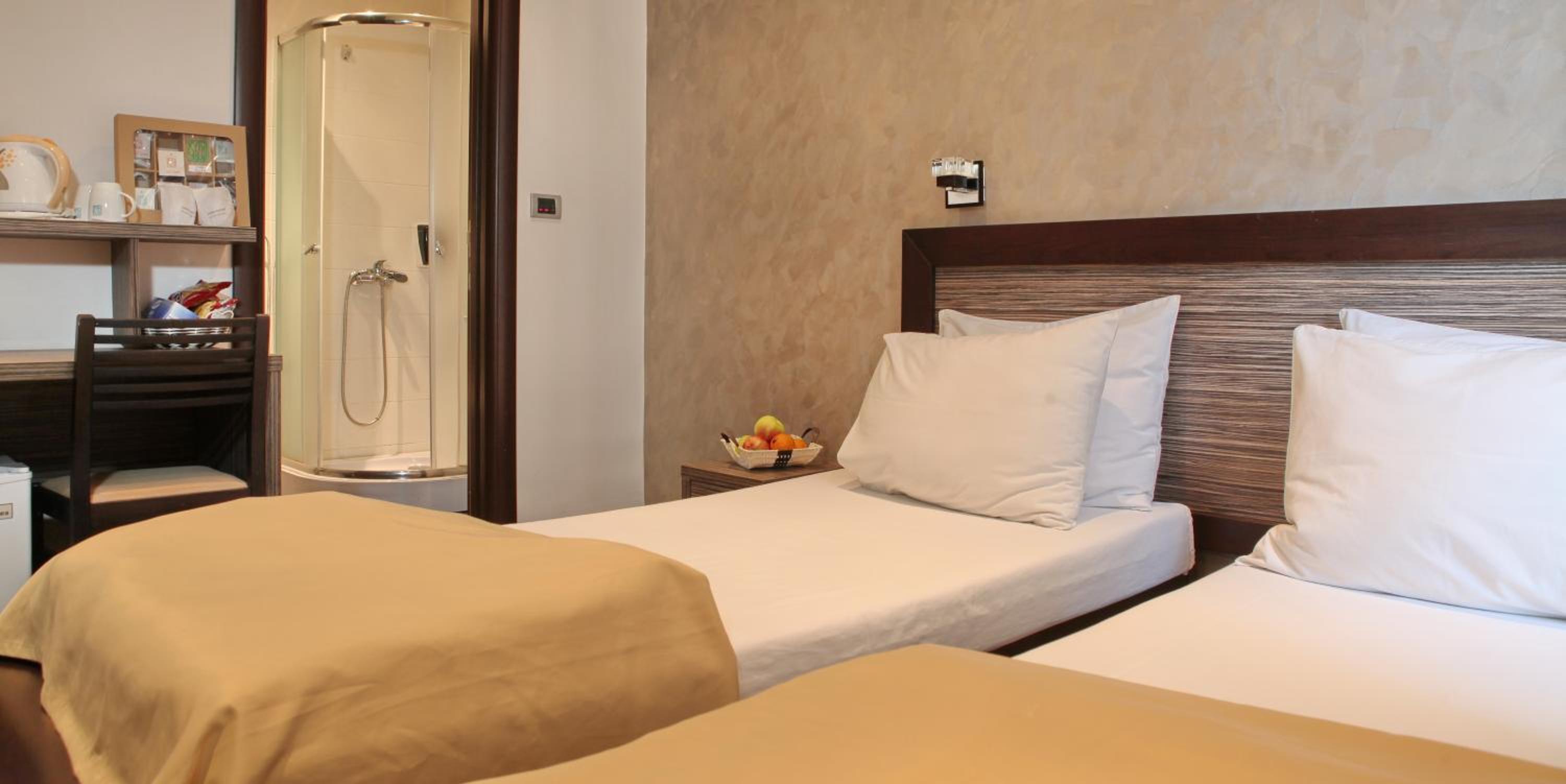 Standard Double or Twin Room photo 1