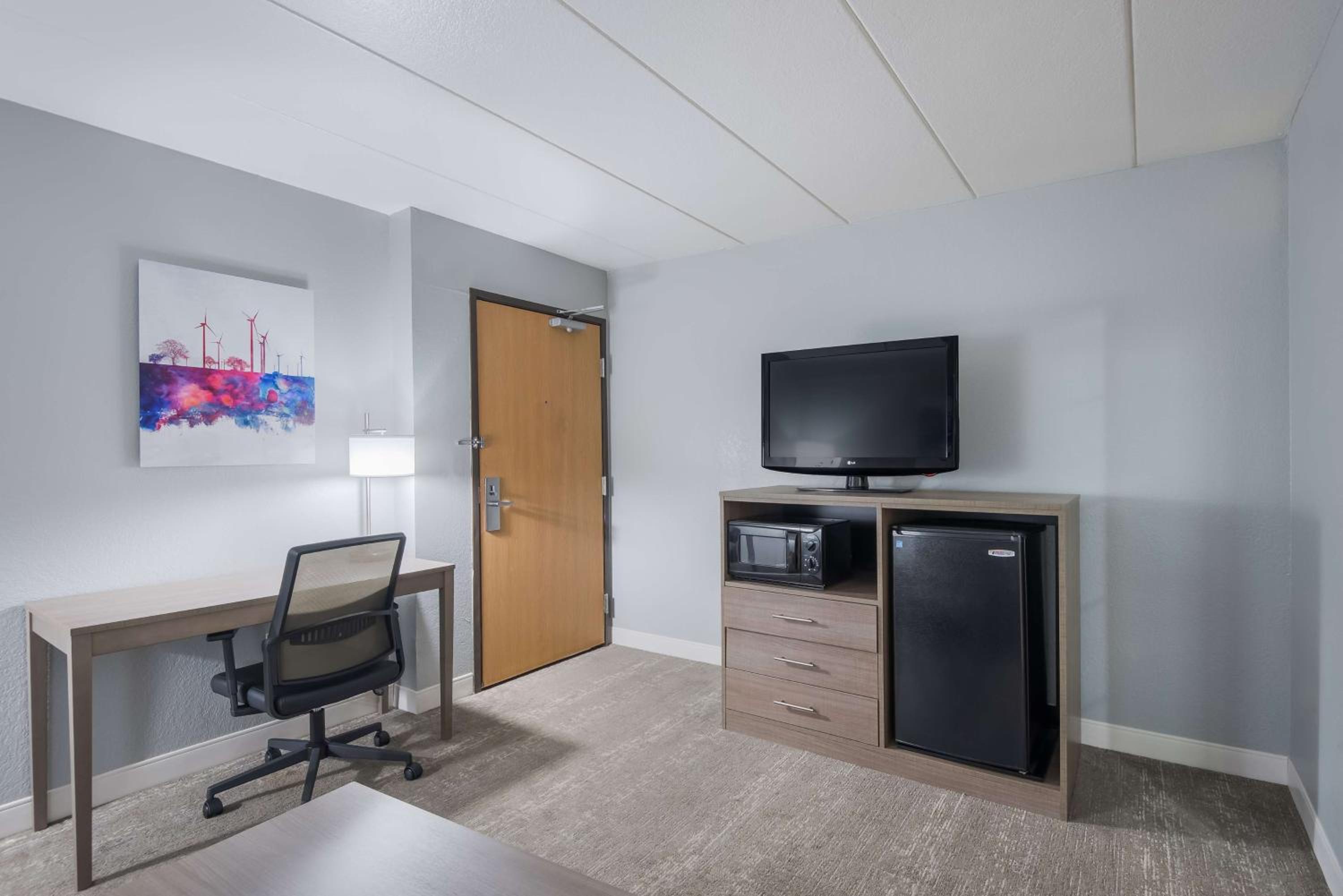 Large King Suite with Sofa Bed - Photo 1