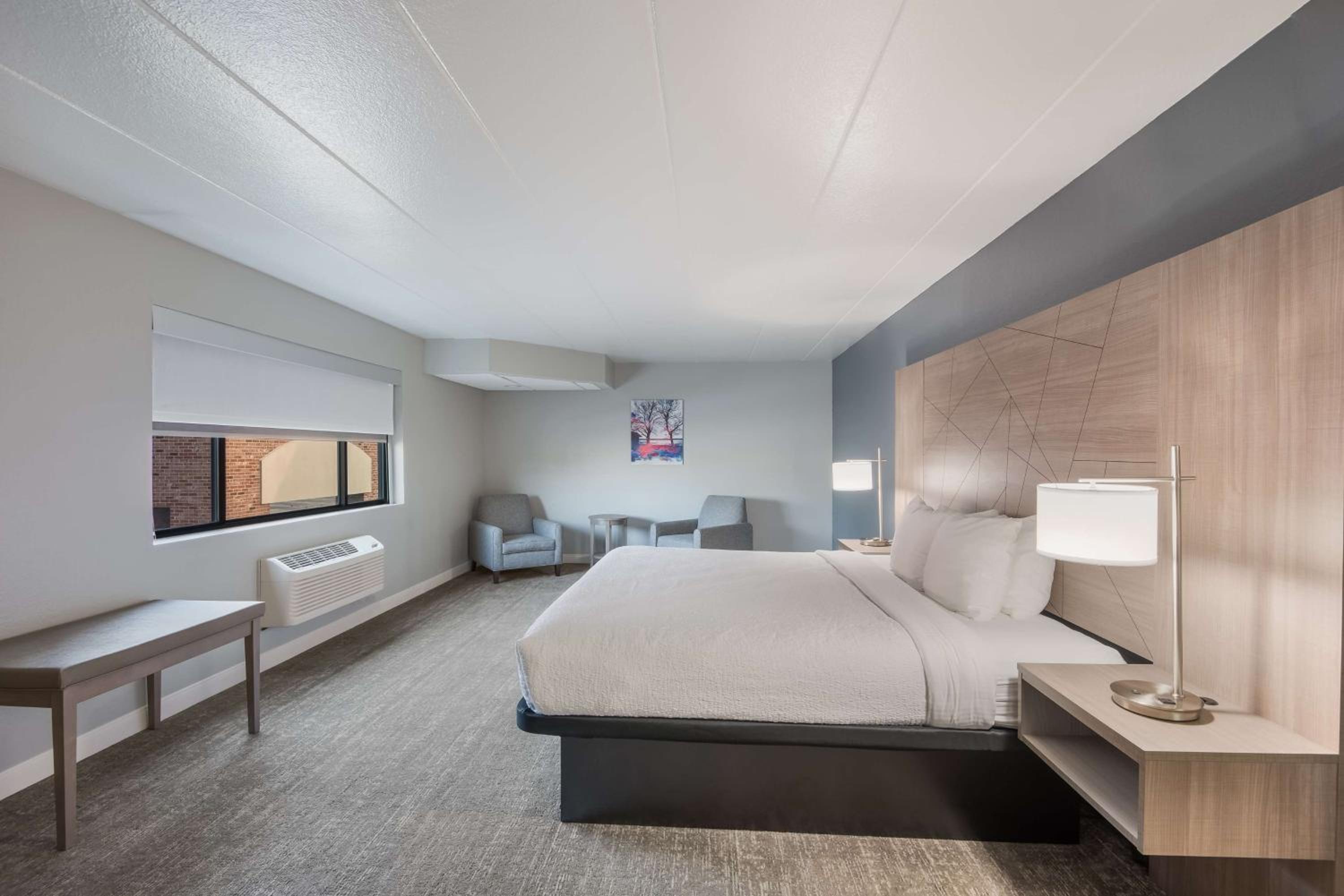 Large King Suite with Sofa Bed - Photo 8