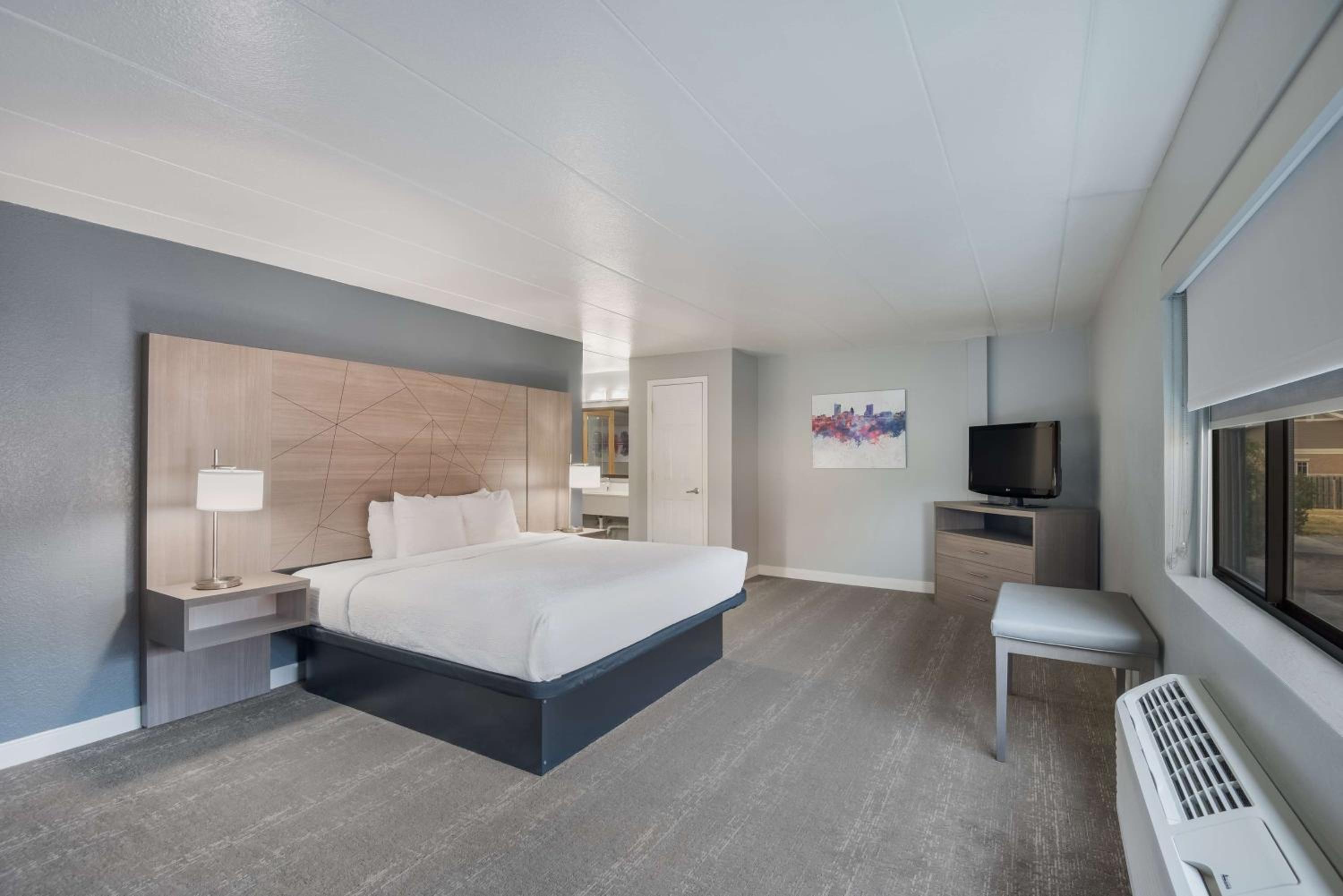 Large King Suite with Sofa Bed - Photo 7