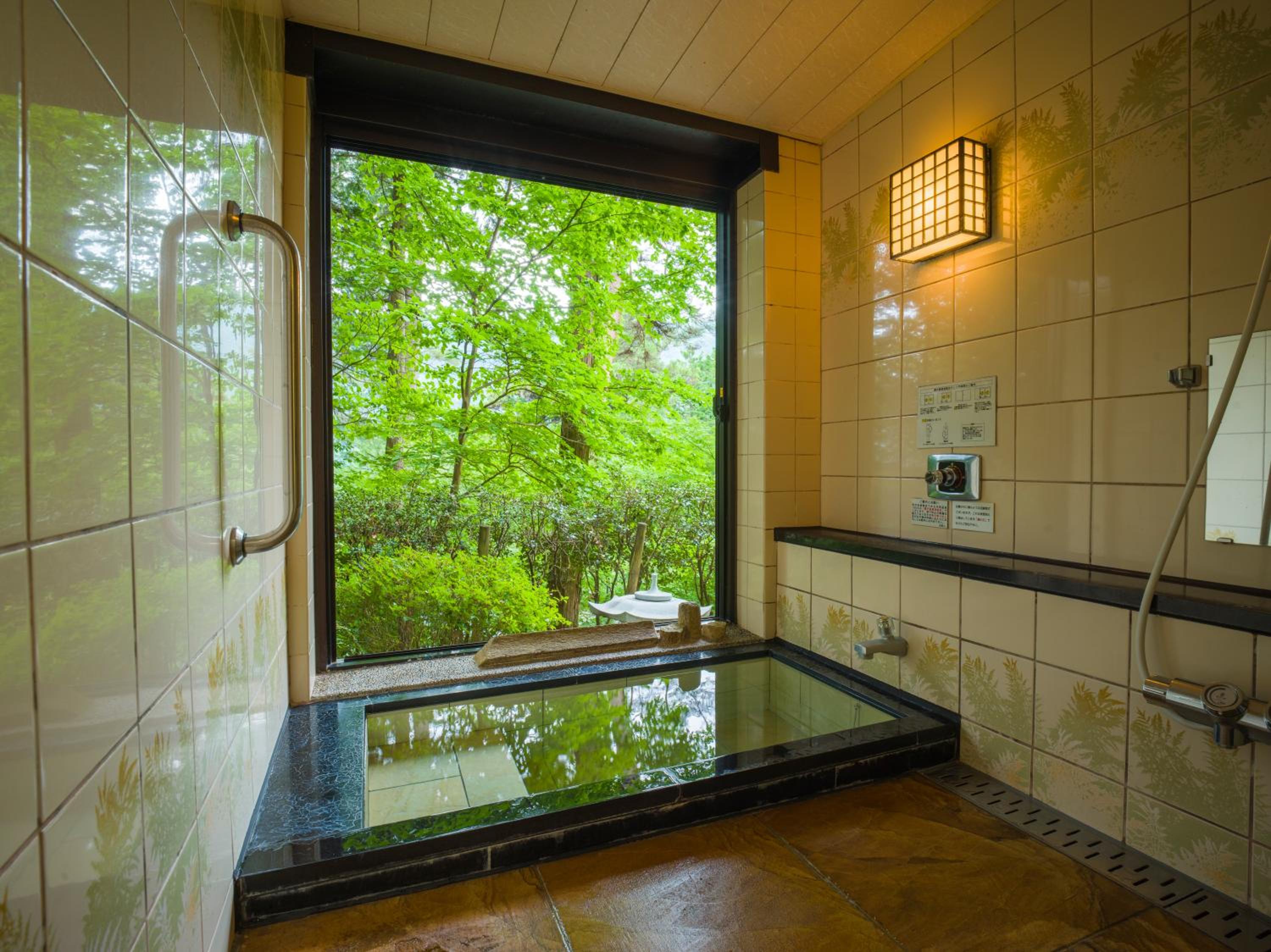 Suite with Hot Spring Bath photo 2
