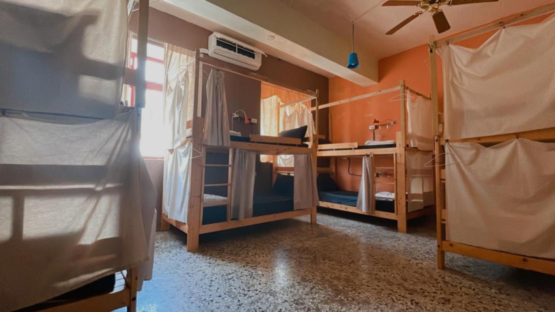Bed in 8-Bed Mixed Dormitory Room photo 1