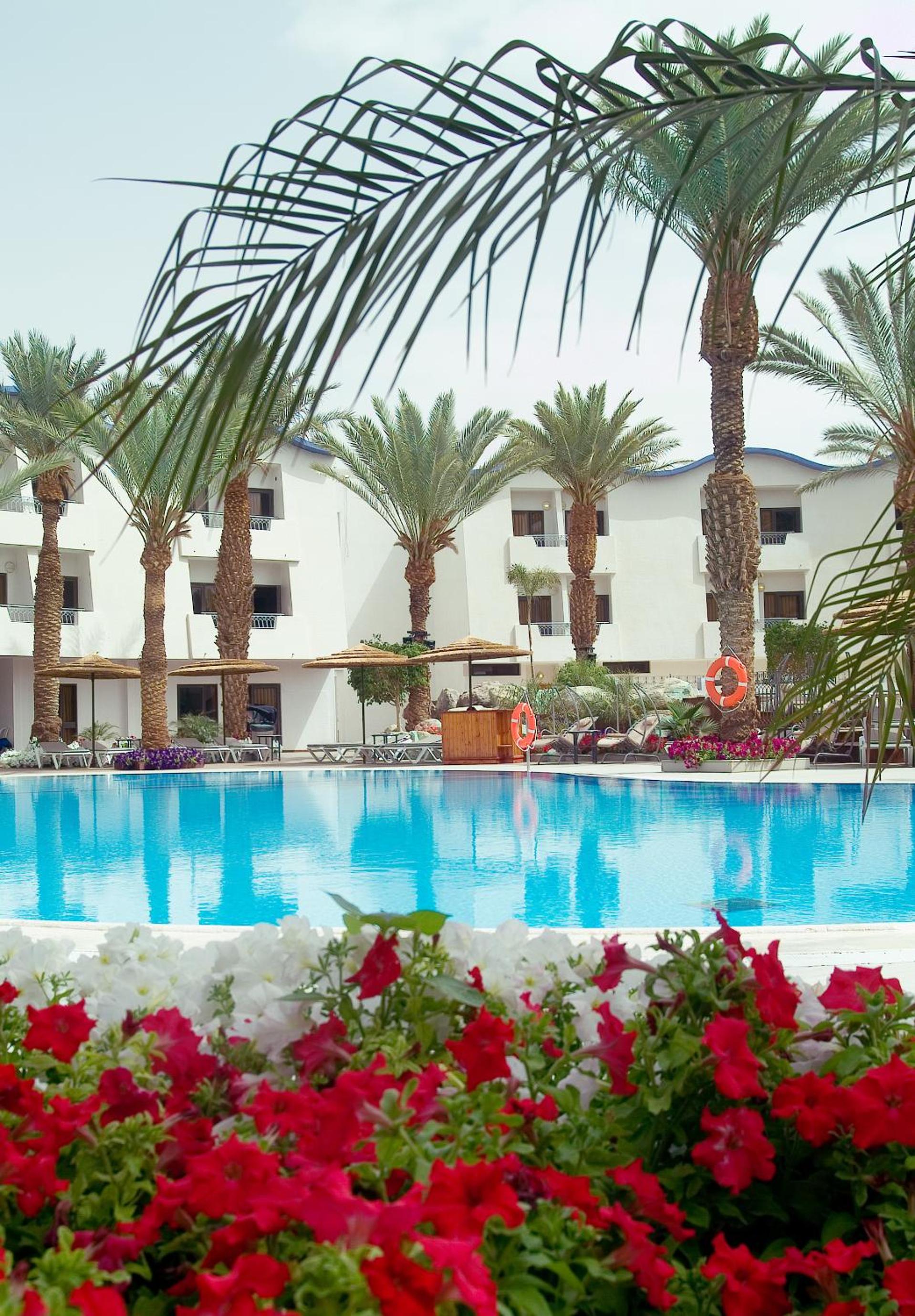 Superior Room with Pool View photo 2