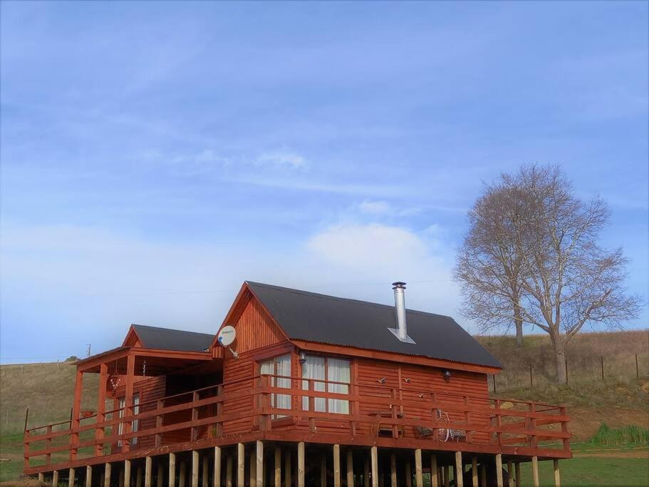Three-Bedroom House photo 2