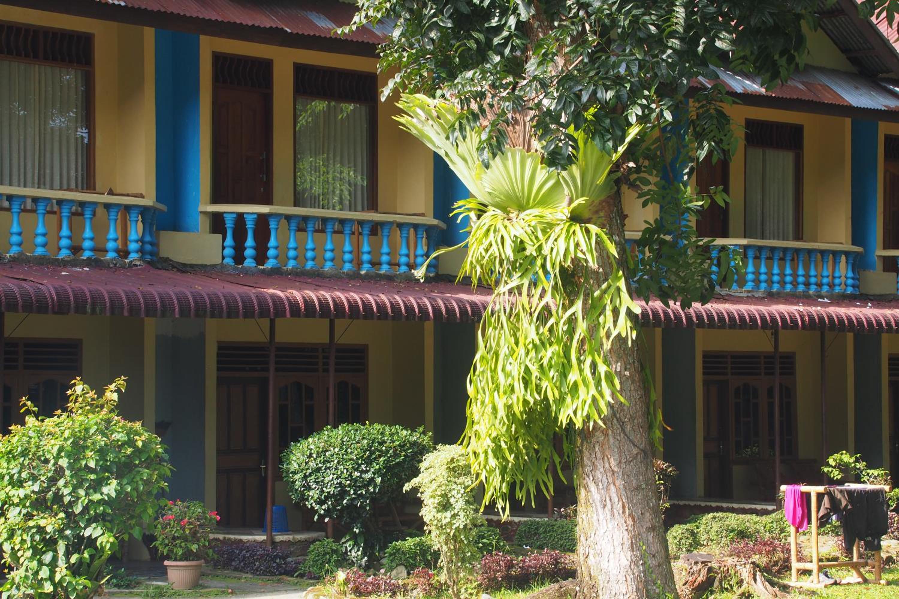Standard Double or Twin Room with Garden View photo 3