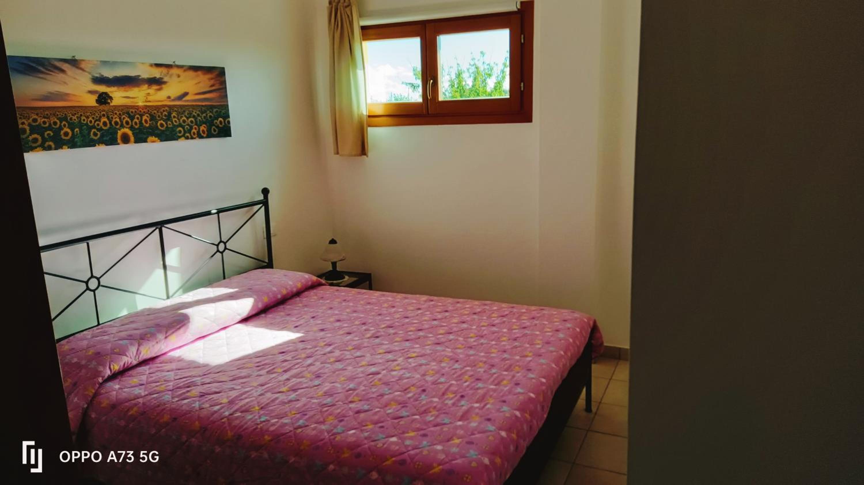 One-Bedroom House photo 3