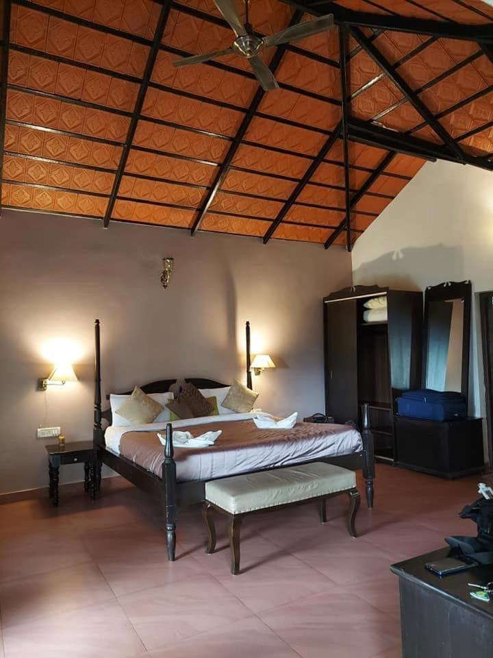Deluxe Double Room photo 3