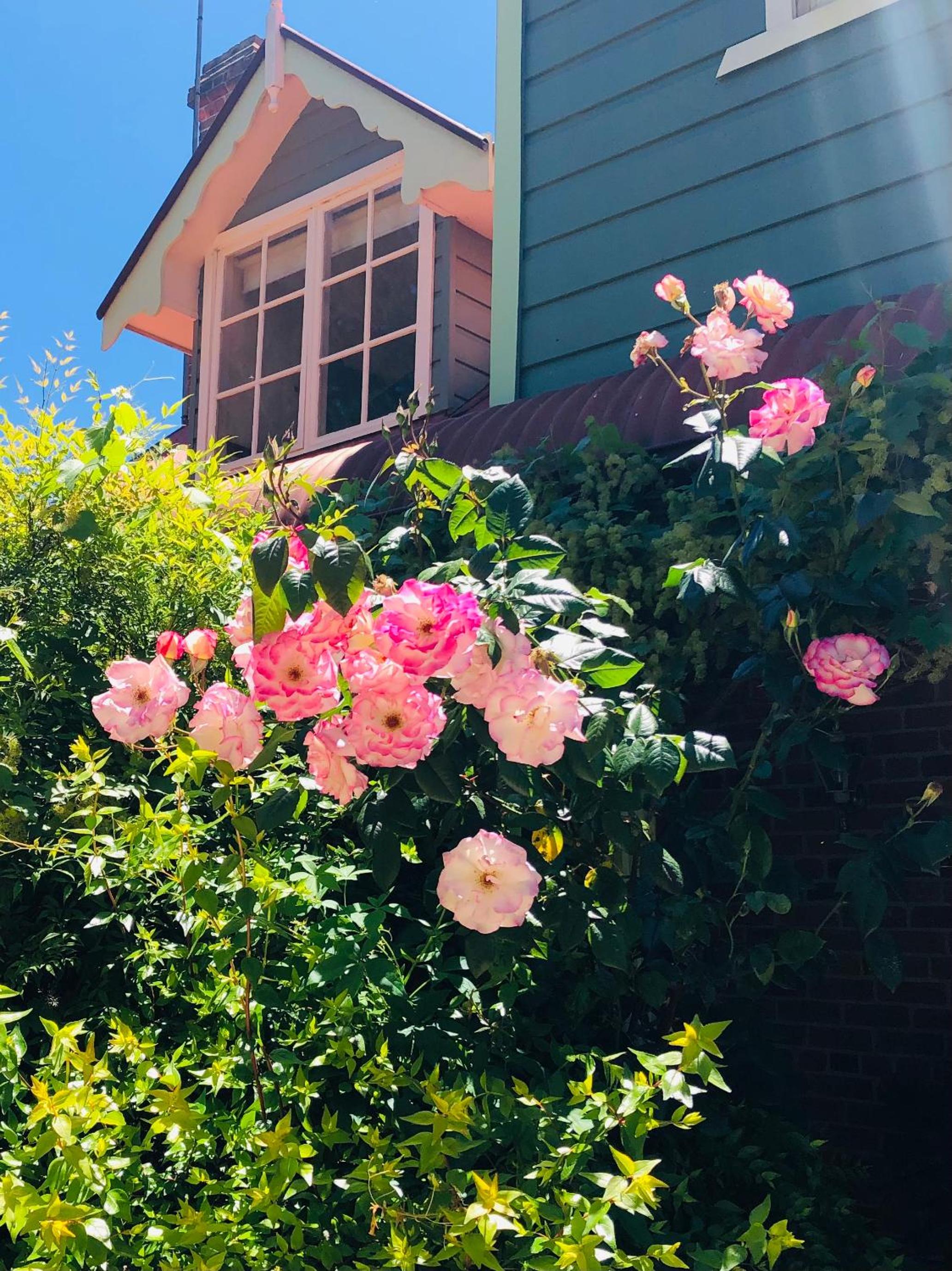 Queen Room - Gardenia