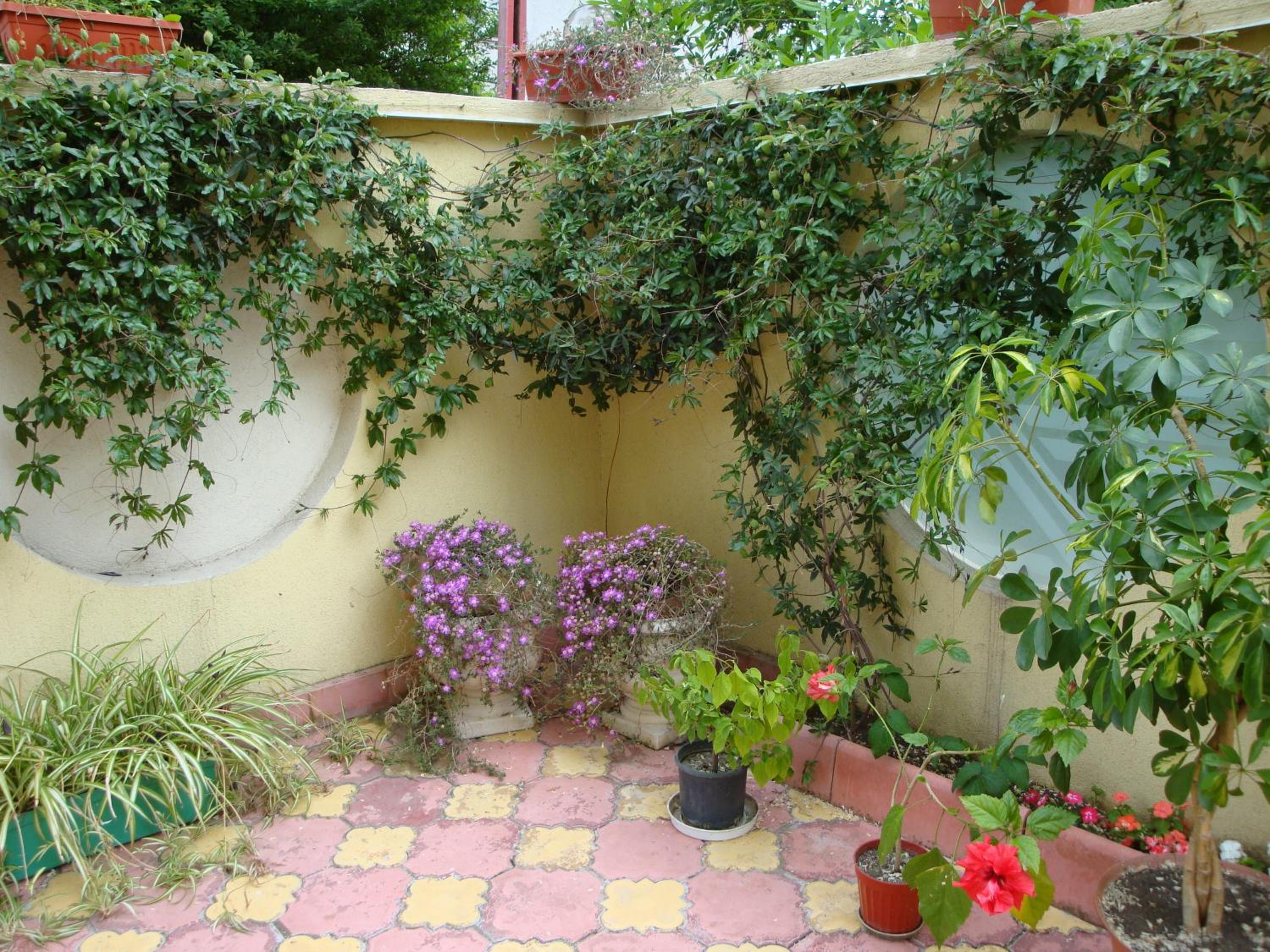 Double Room with Balcony photo 3