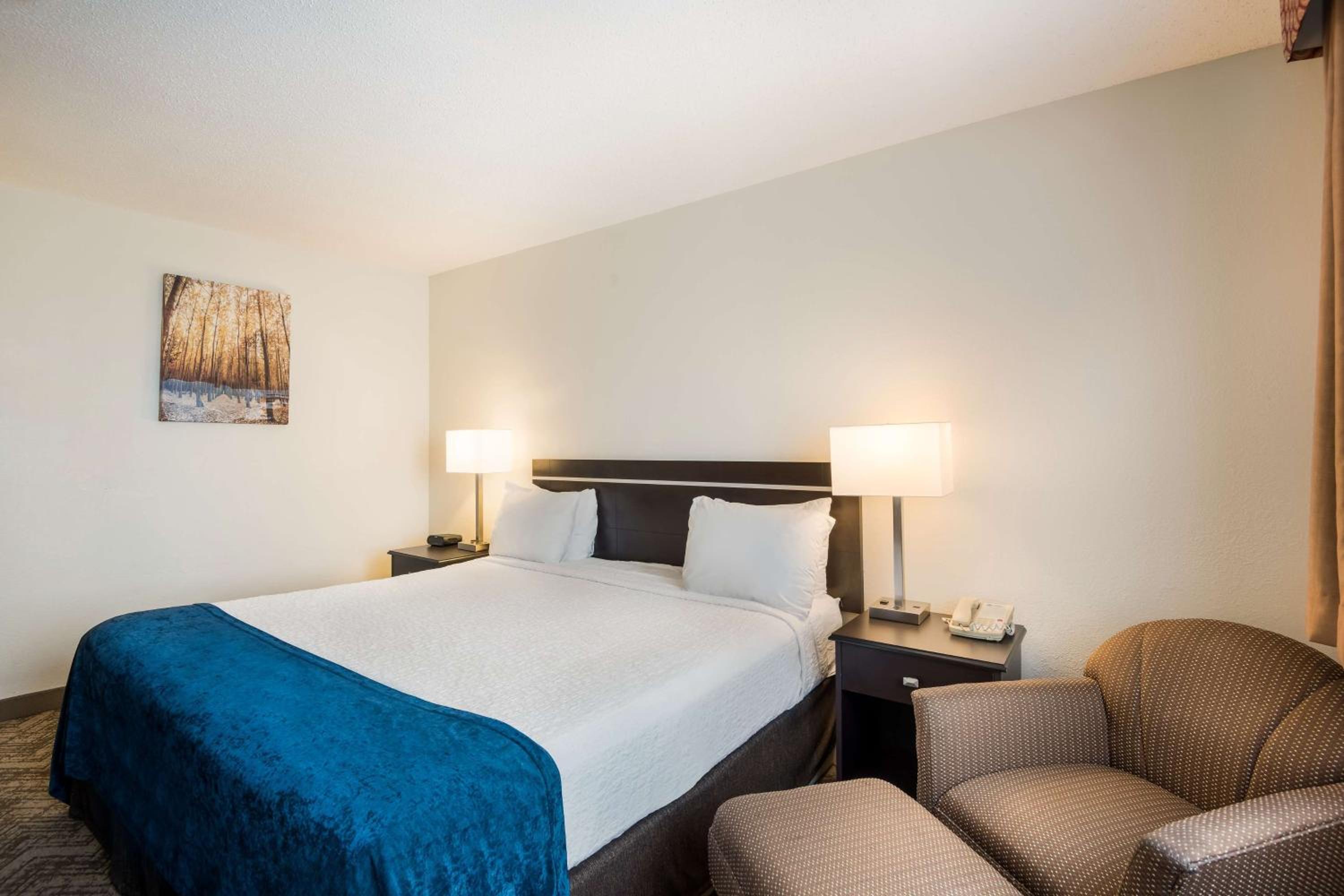 King Room photo 3