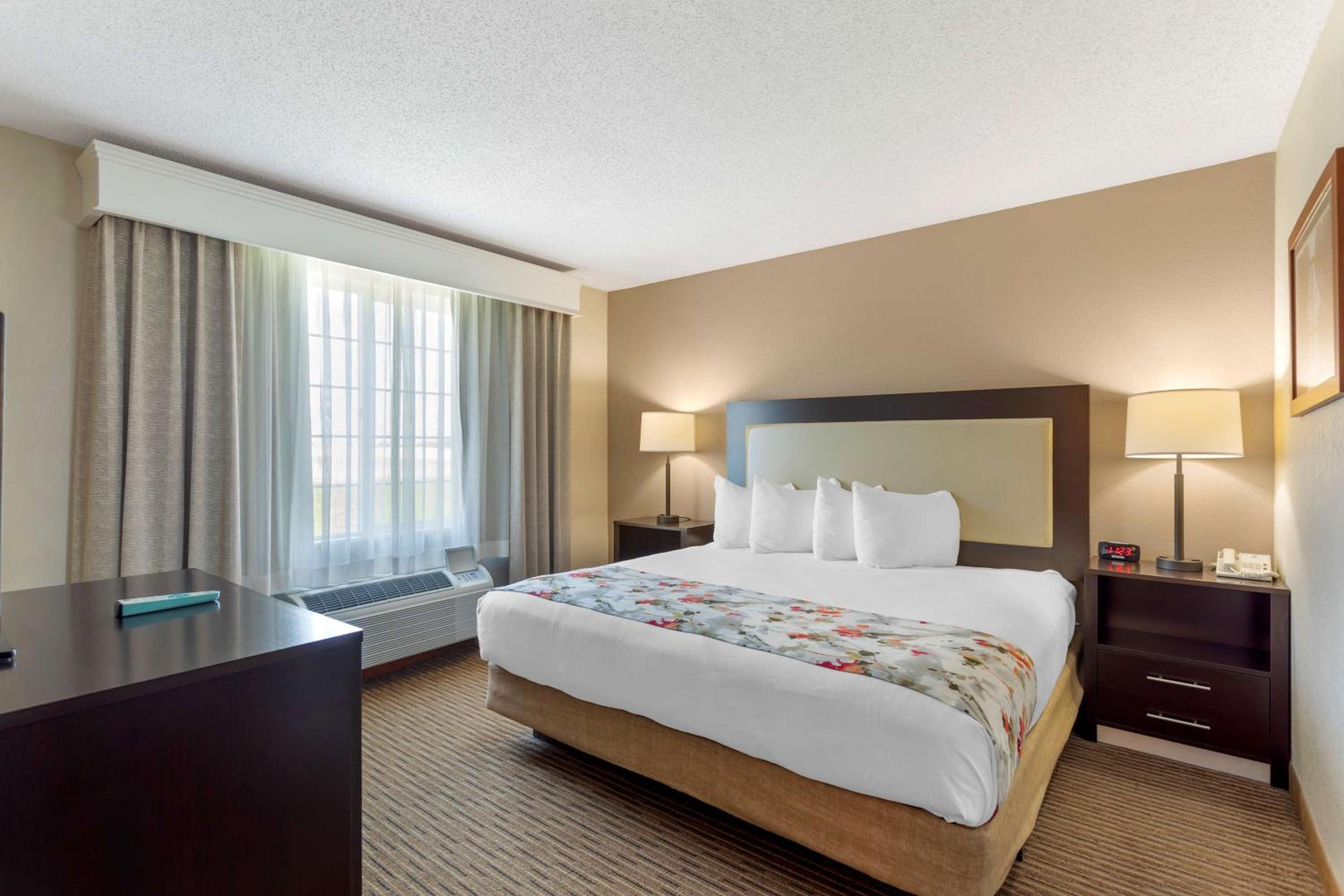 King Suite - Disability Access photo 1