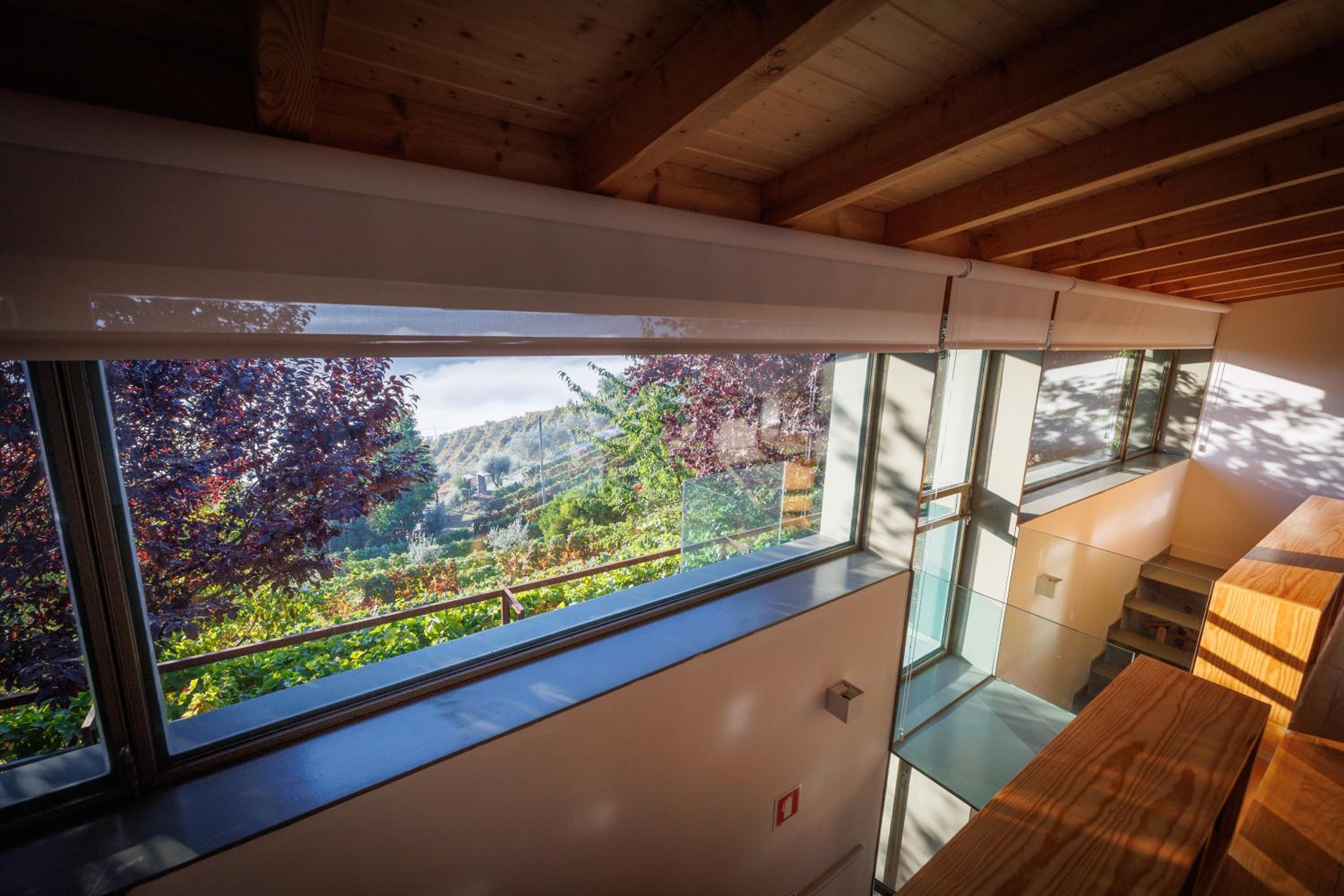 One-Bedroom House - Photo 3