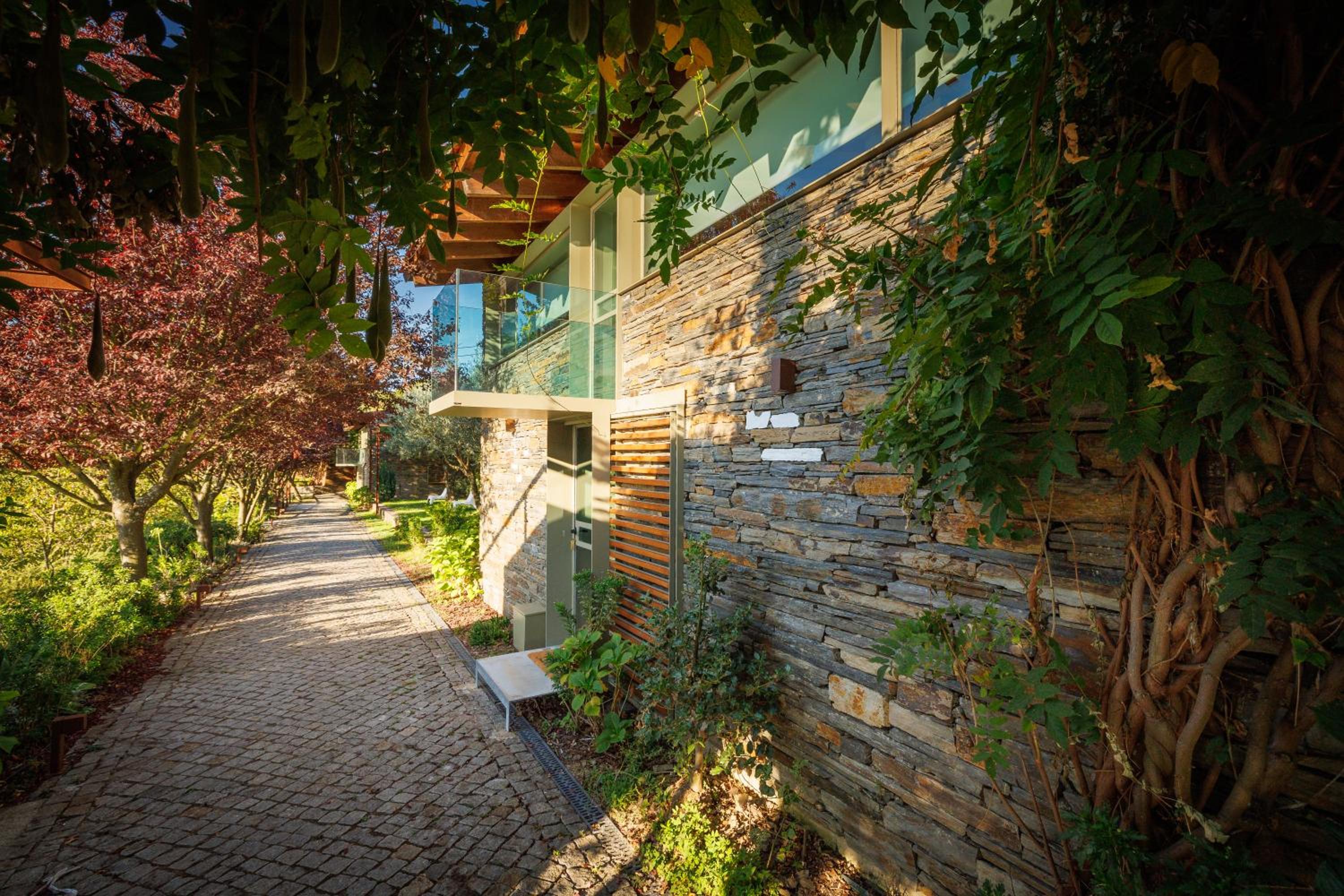 One-Bedroom House - Photo 9