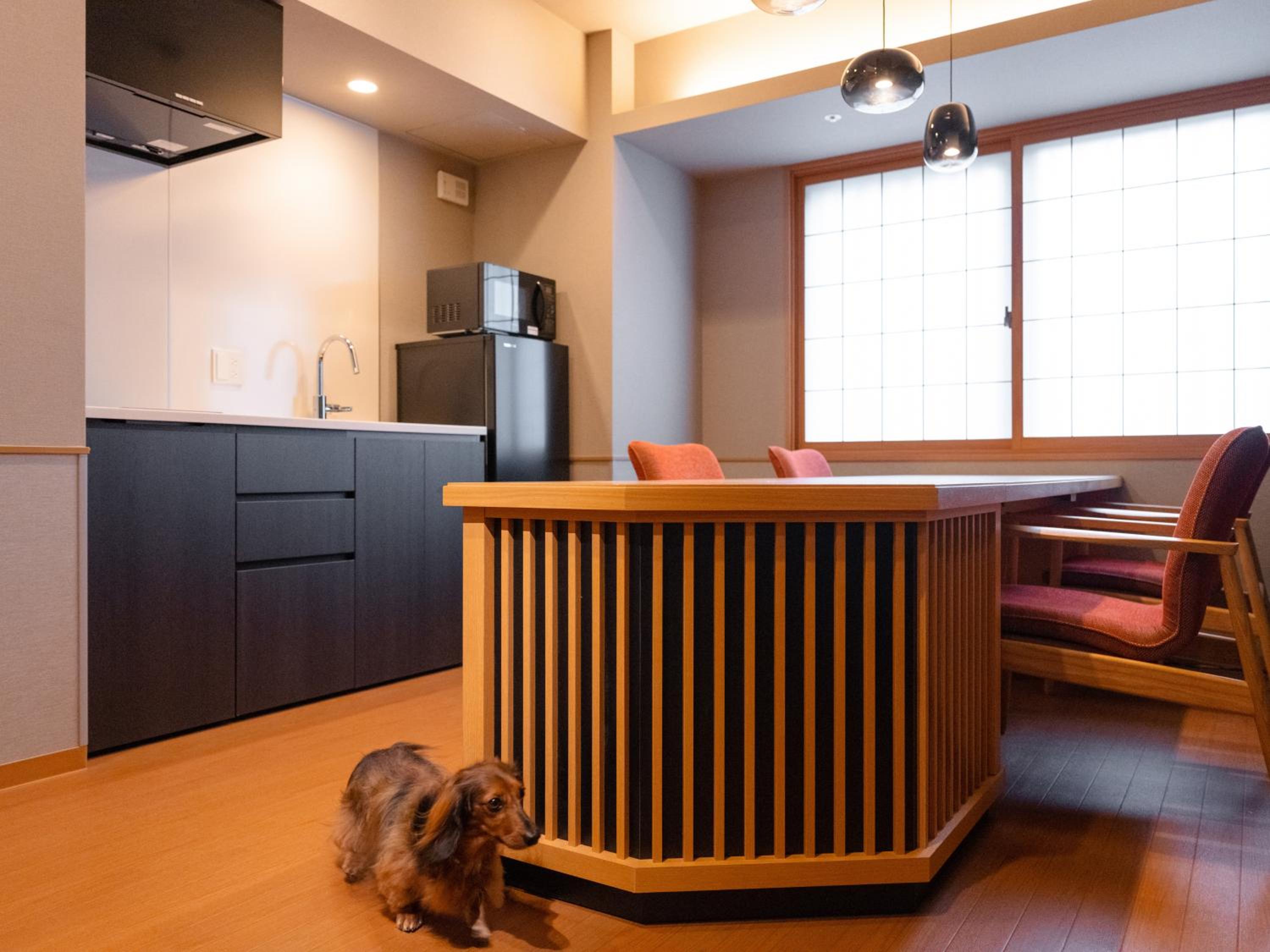 Dog-Friendly Suite photo 3