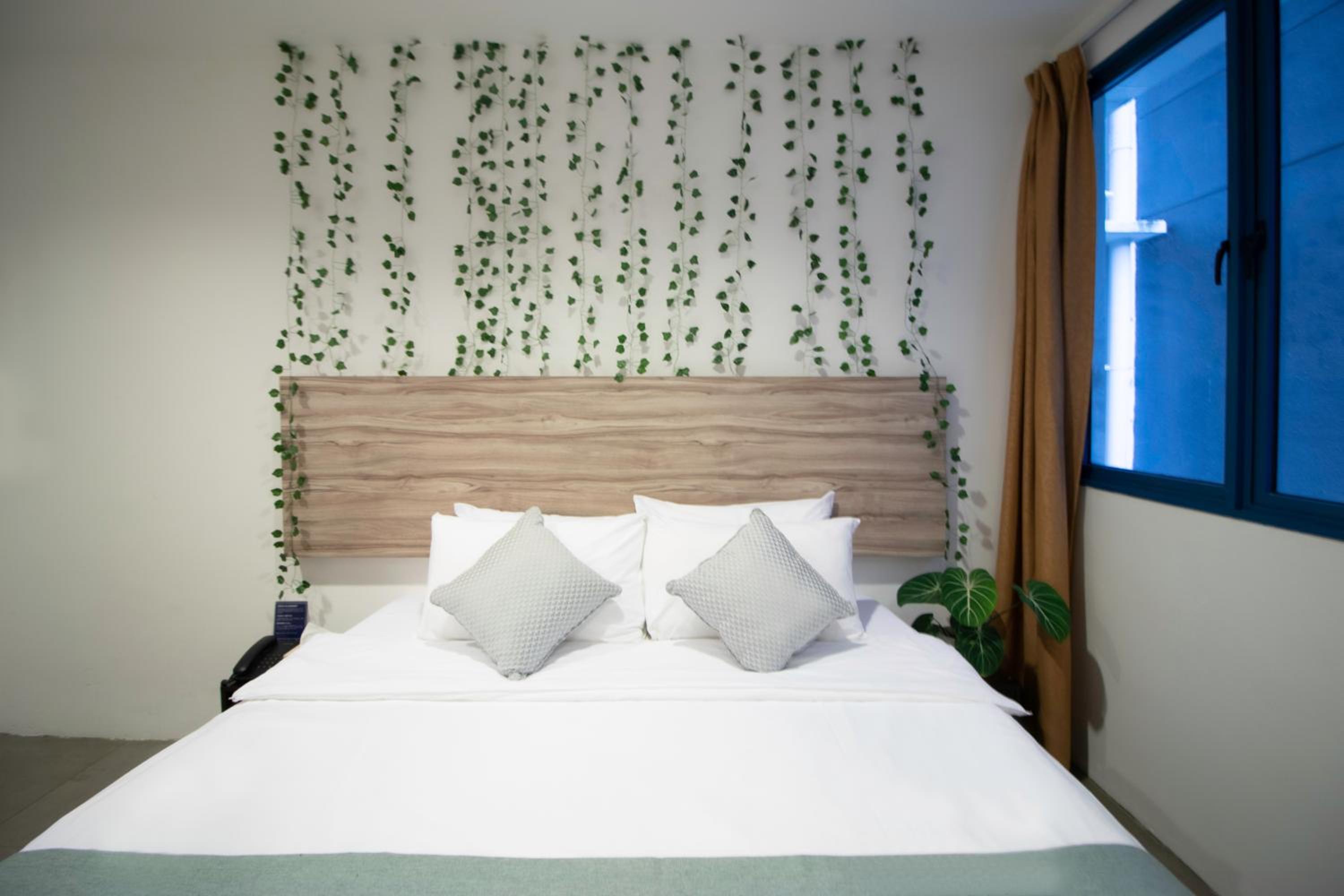 Superior King Room photo 3