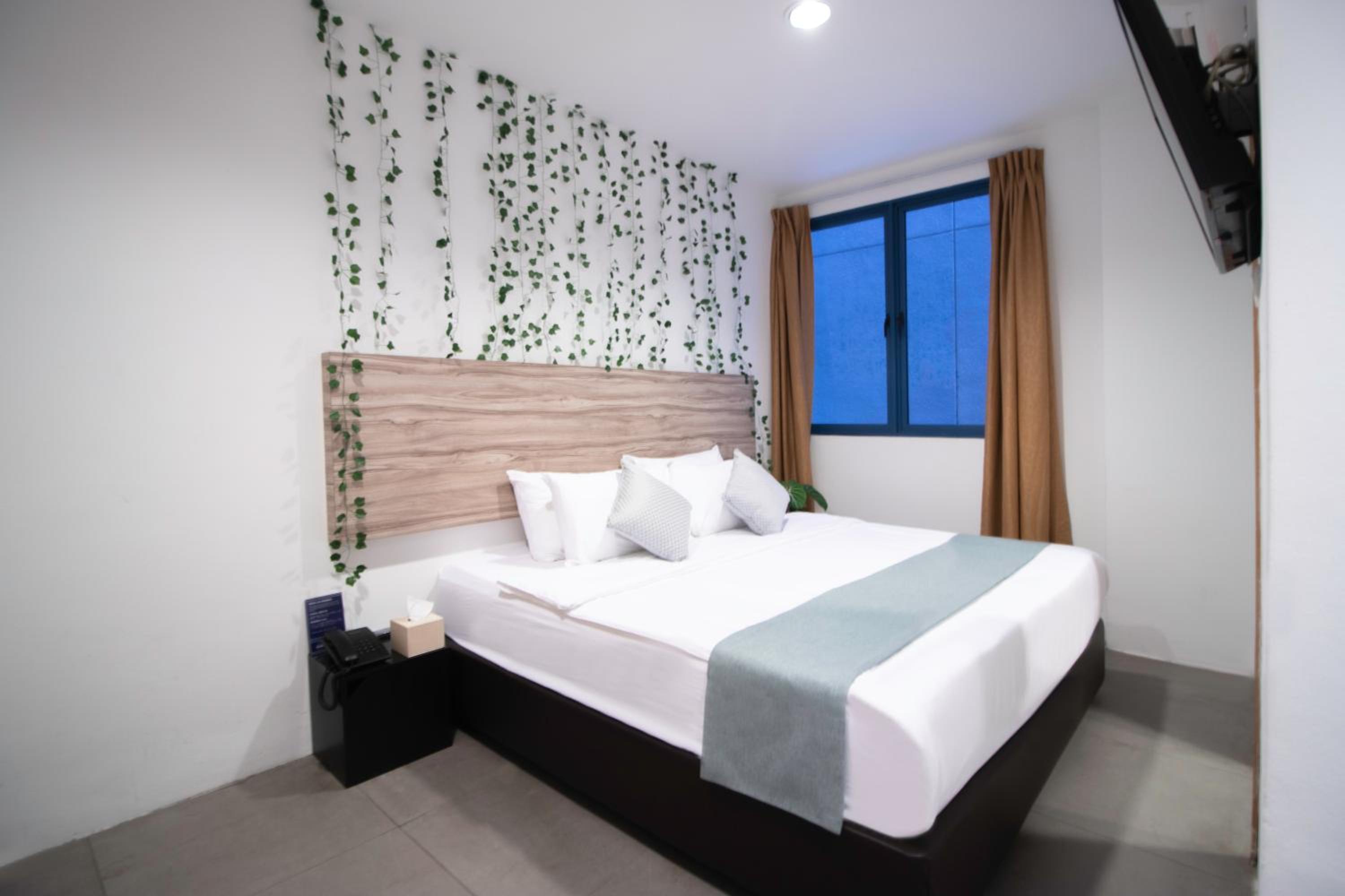 Superior King Room photo 2