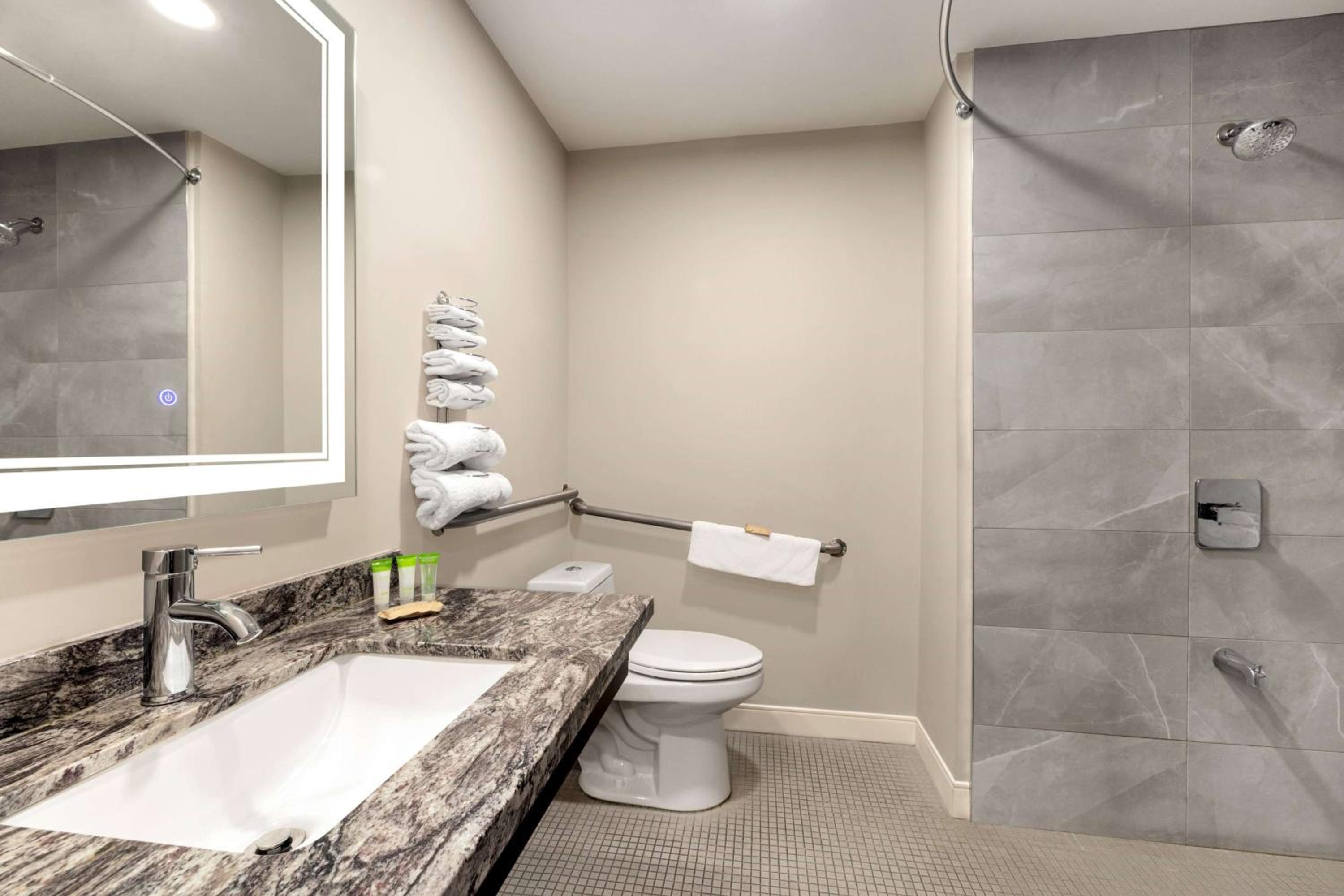 King Suite - Mobility Access/Non-Smoking - Photo 4