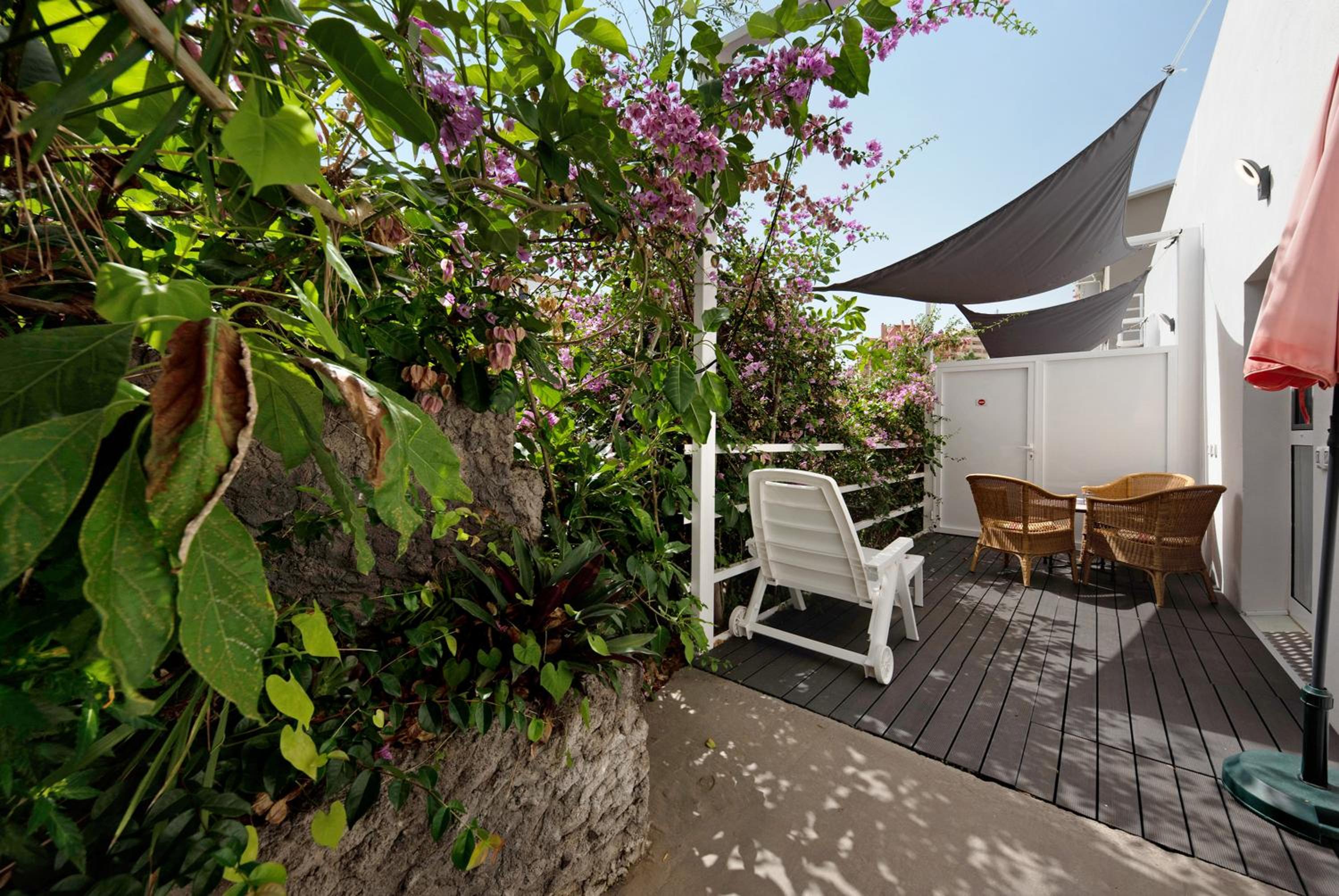 Studio with Terrace photo 3
