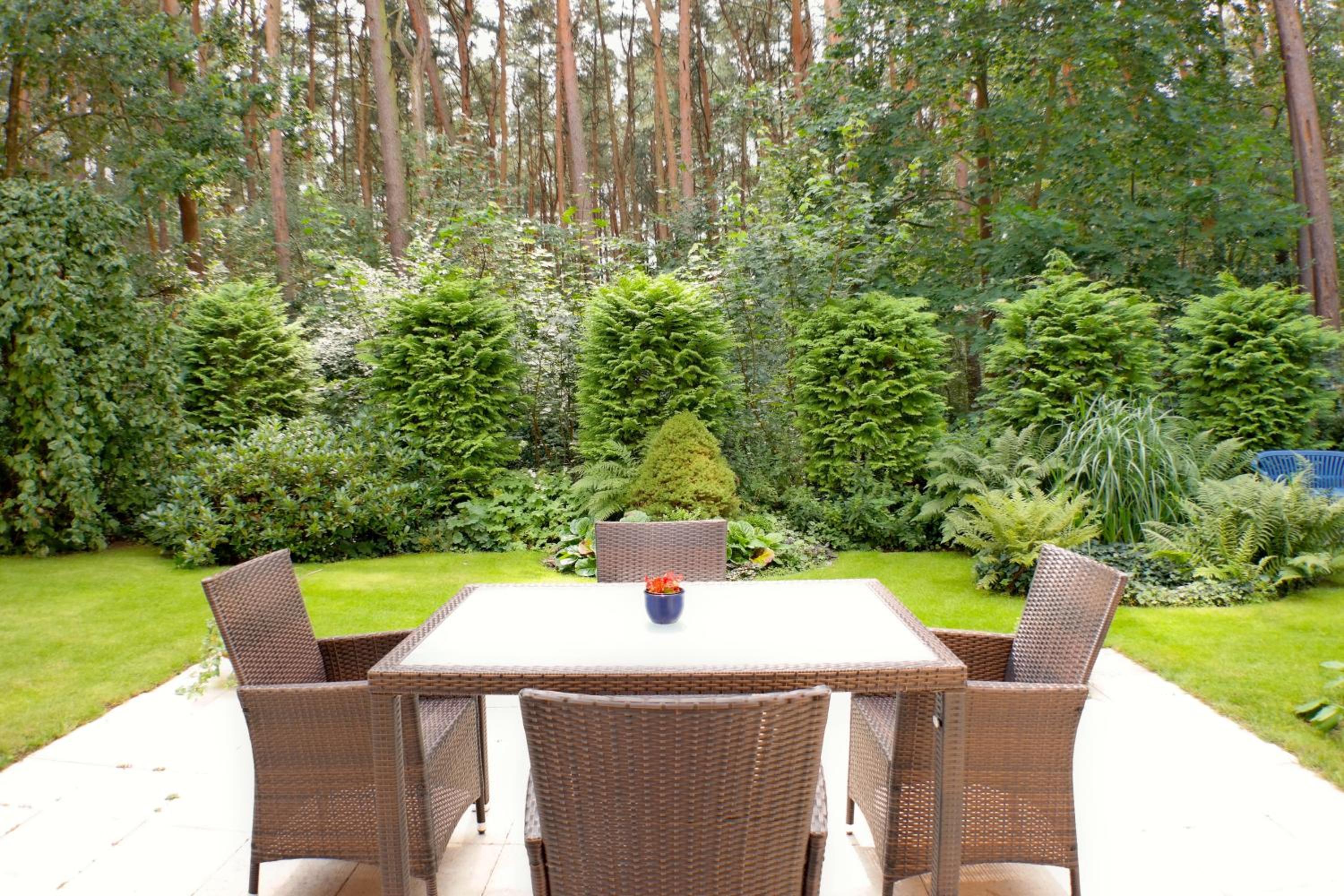 Comfort Two-Bedroom Apartment with Terrace (2-4 Adults) photo 3