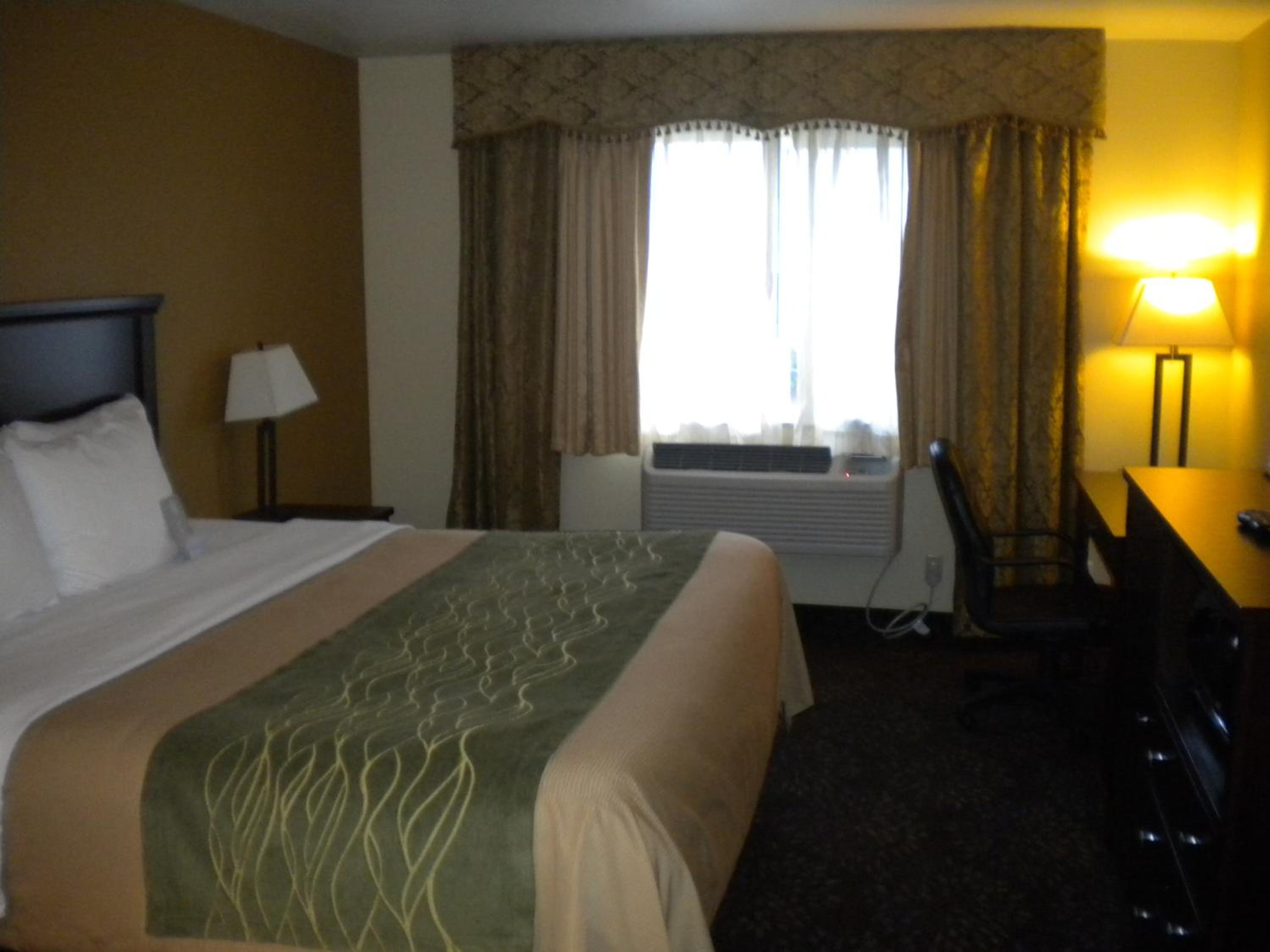 King Room - Pet Friendly - Photo 4