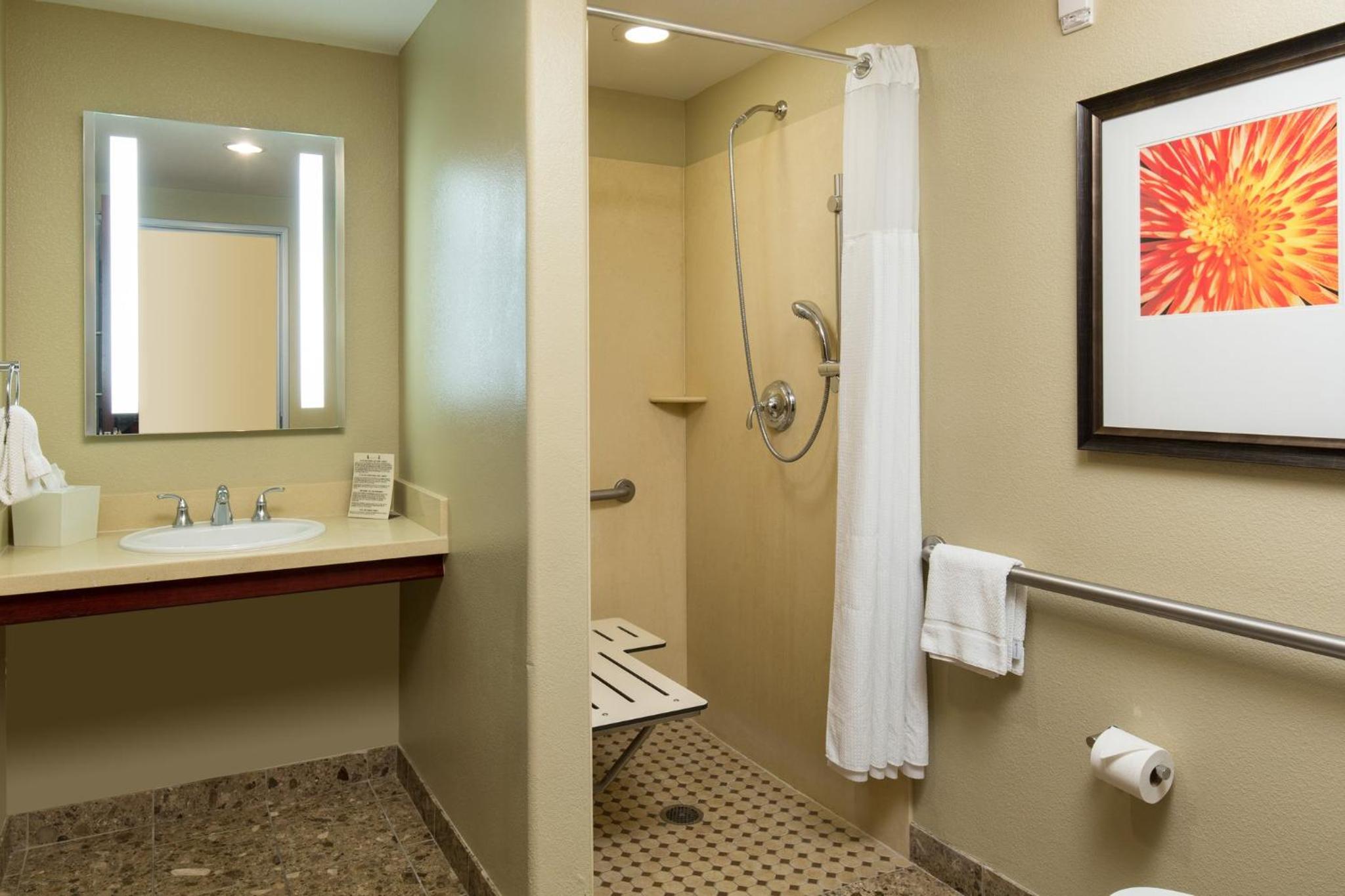 One-Bedroom King Suite with Communications Accessible Roll-In Shower - Photo 2