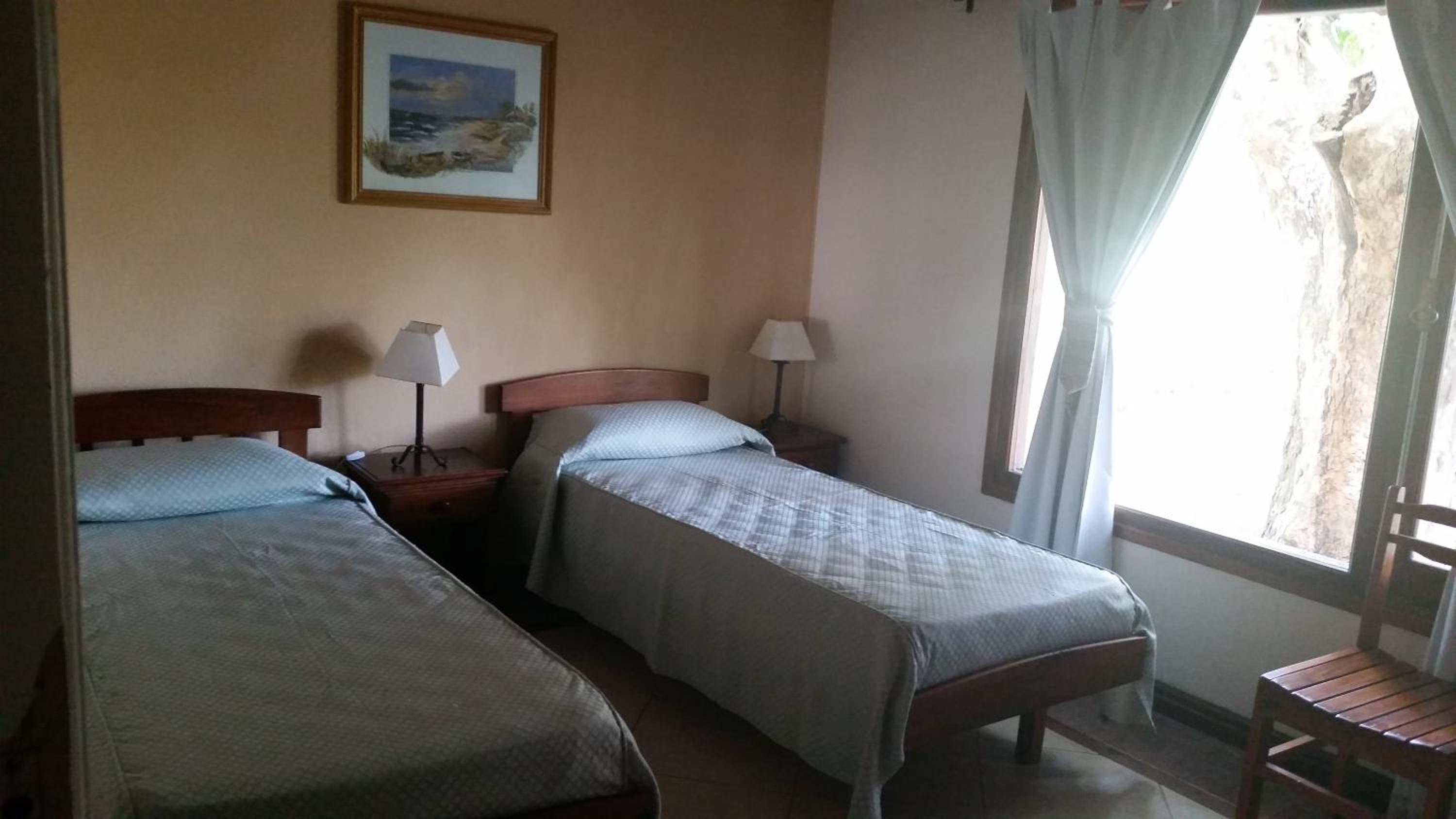 Twin Room photo 3