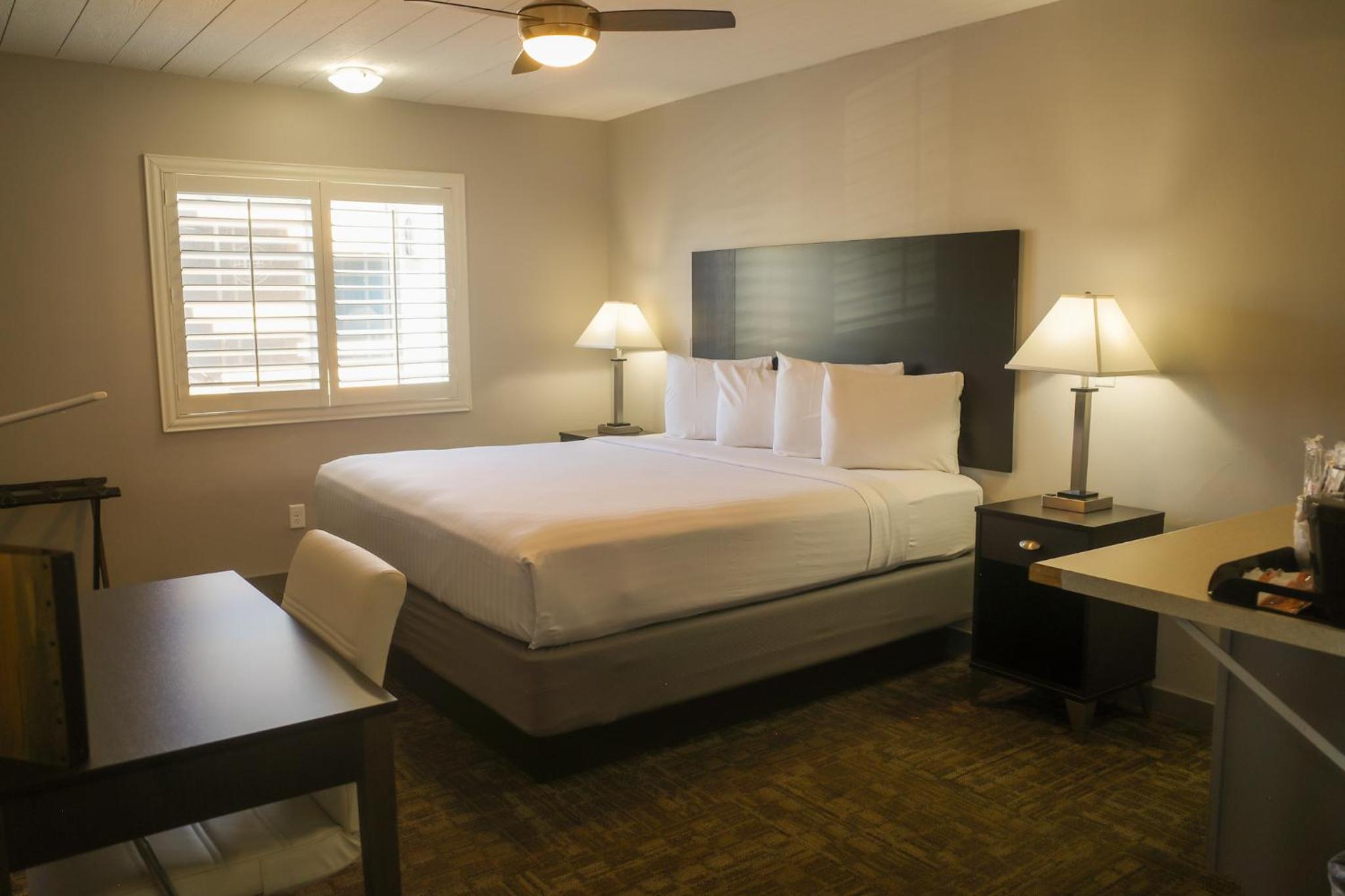 Double King Suite