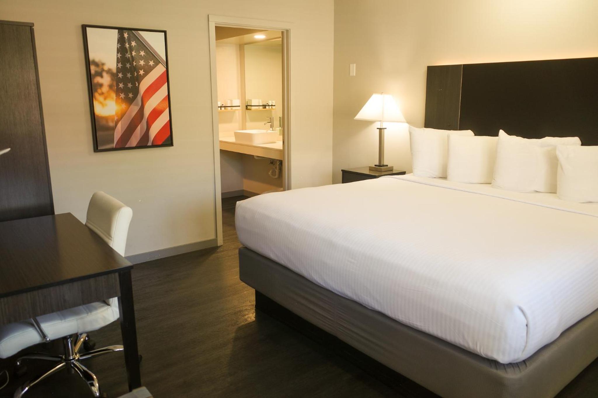 King Room - Pet Friendly