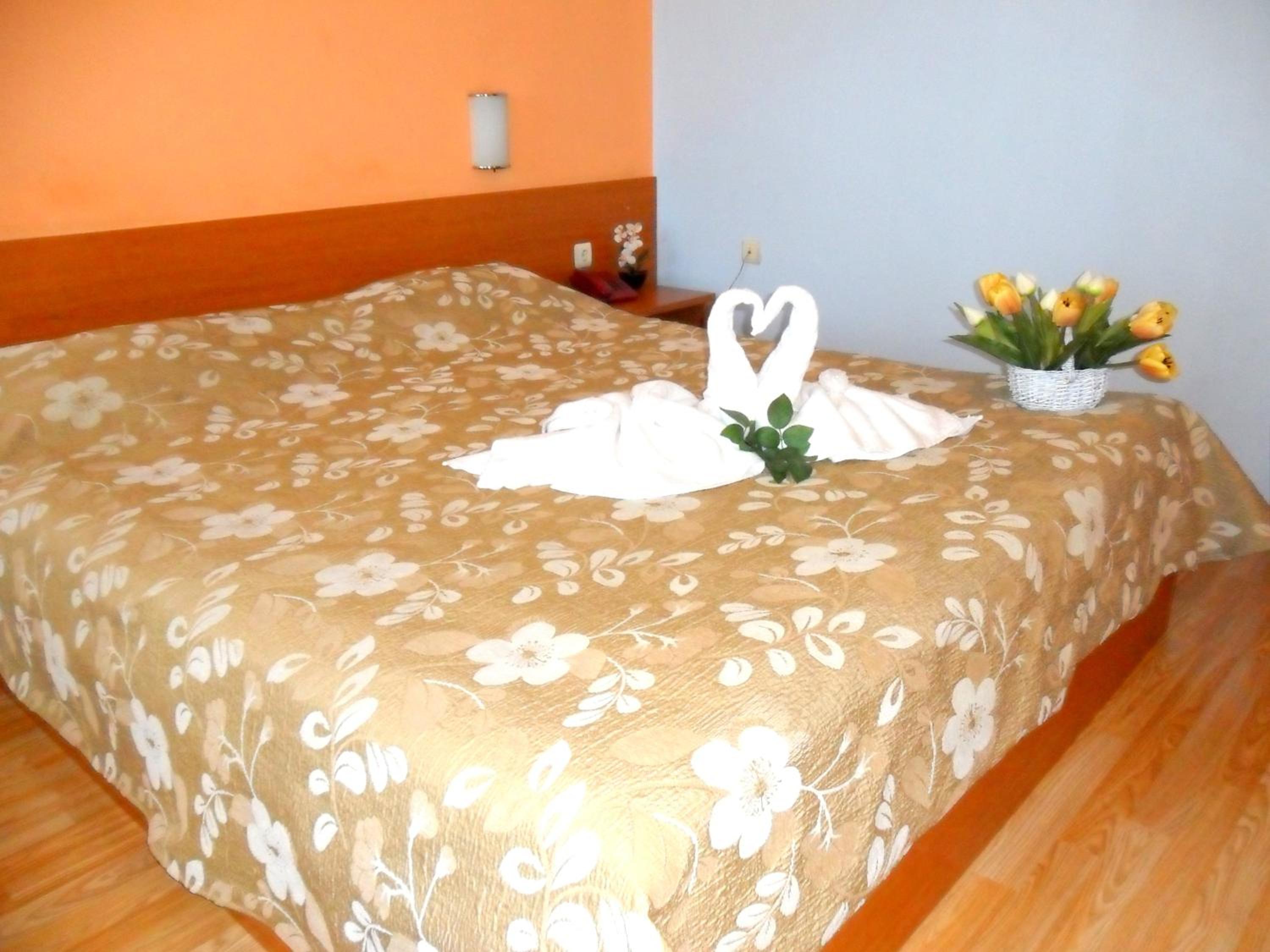 Single Room photo 2