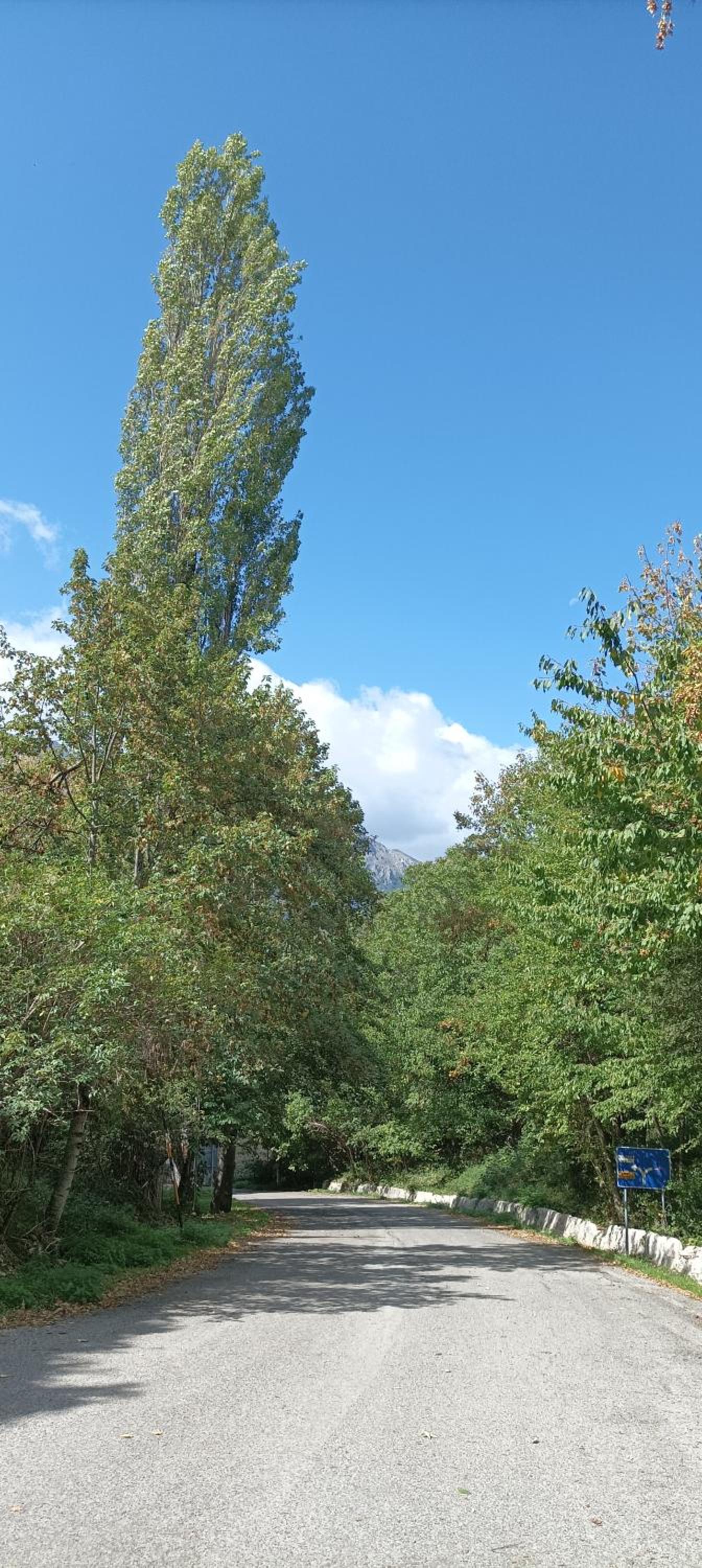 Apartment with Mountain View - Photo 10