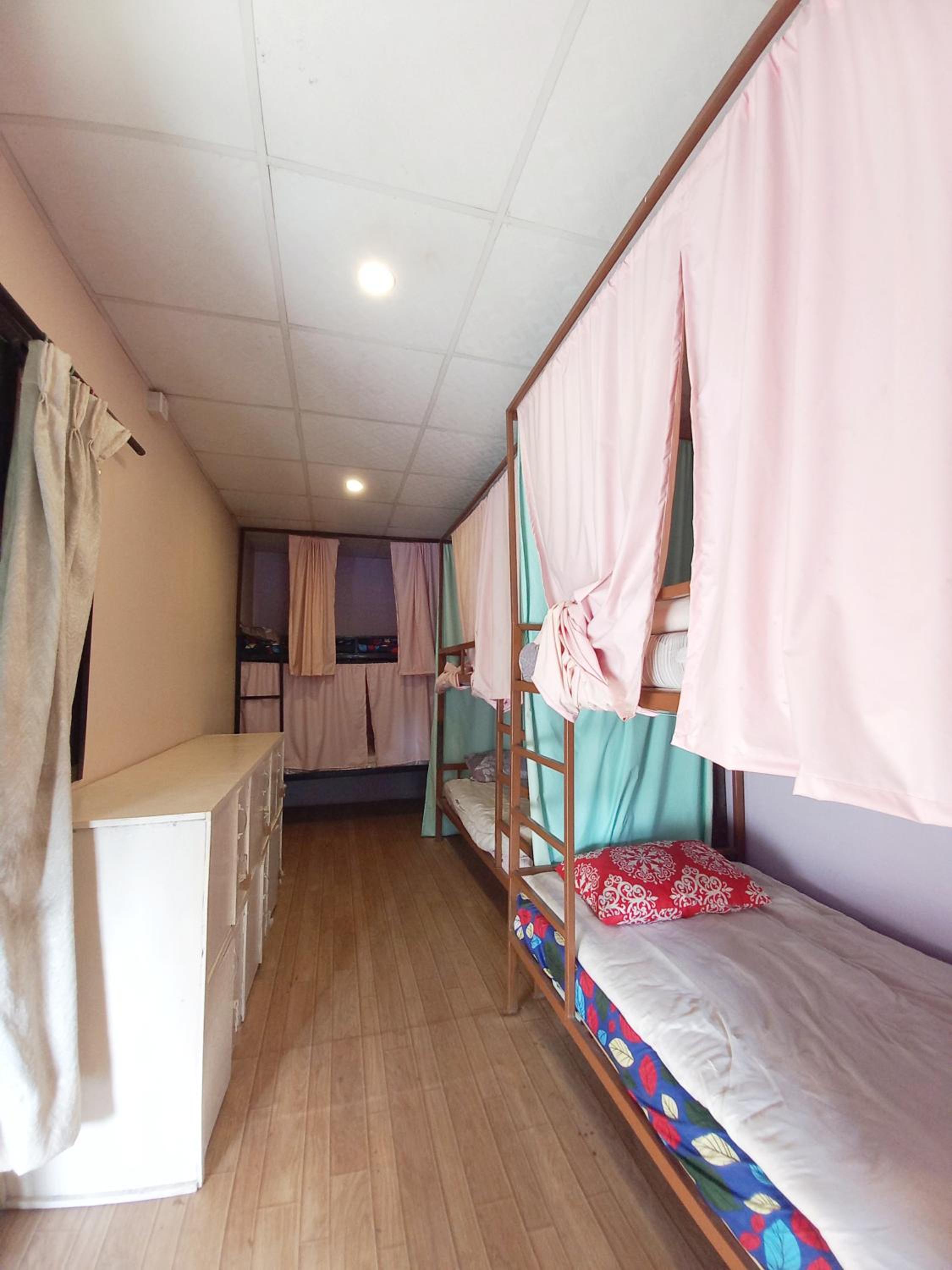 Bunk Bed in Mixed Dormitory Room photo 1