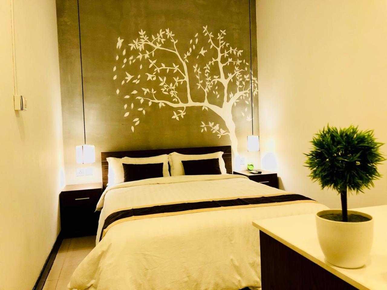 Superior King Room photo 2