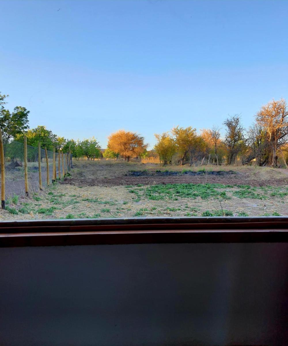 Suite with Garden View photo 3