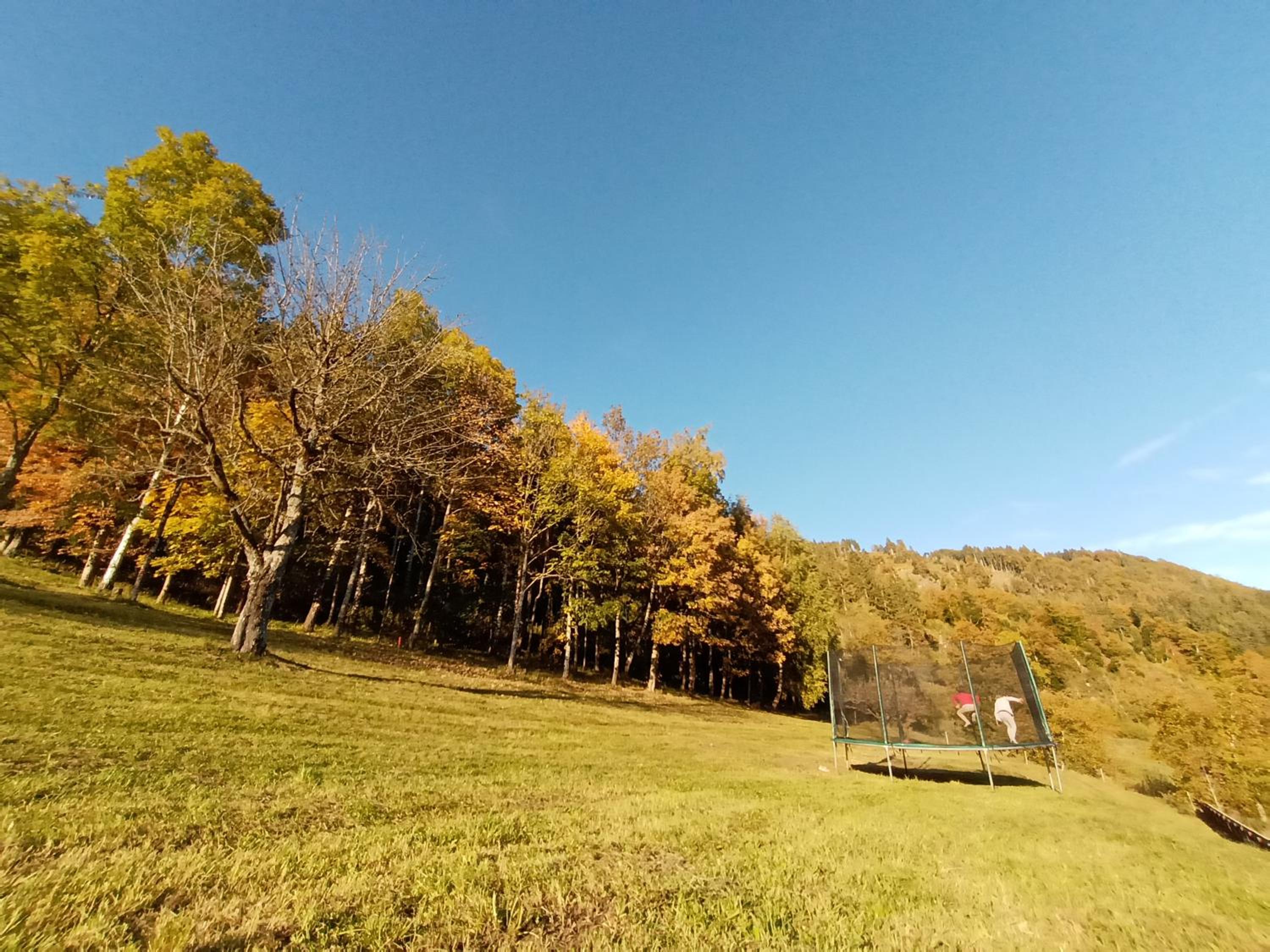 Apartment with Mountain View - Photo 19