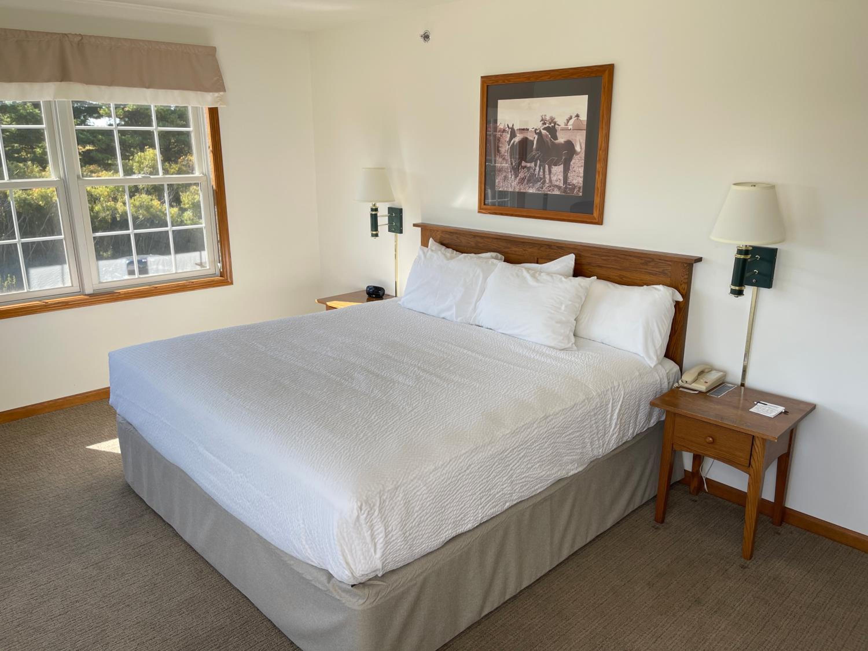Honeymoon Suite One King Sofa Sleeper photo 1