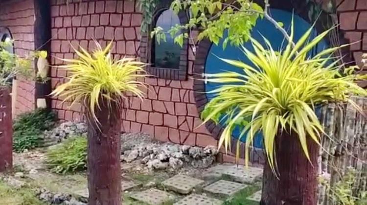 Hobbit House Samma - AC | Private Bathroom| Ocean View - Photo 3