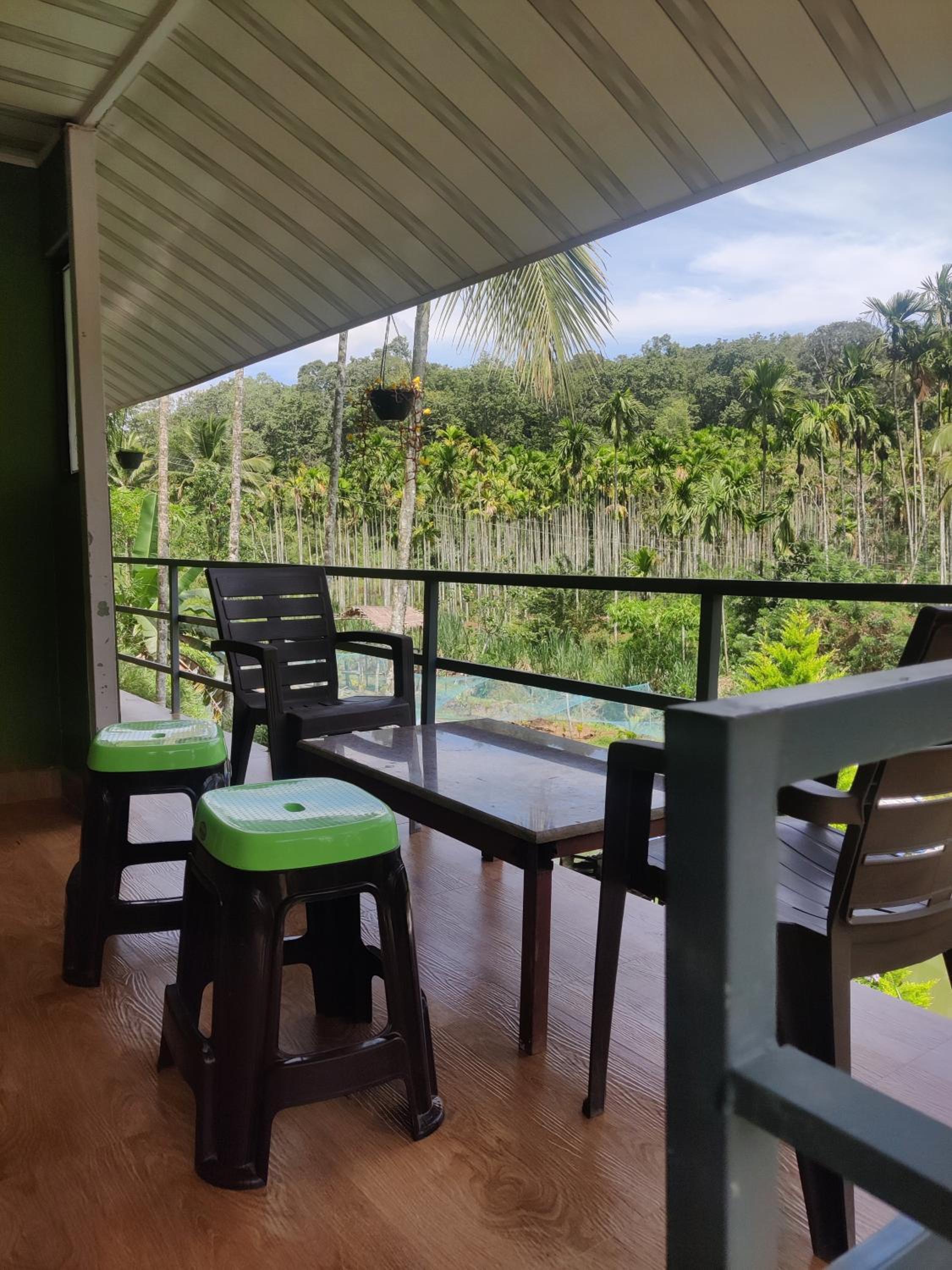 Family Room with Balcony photo 3