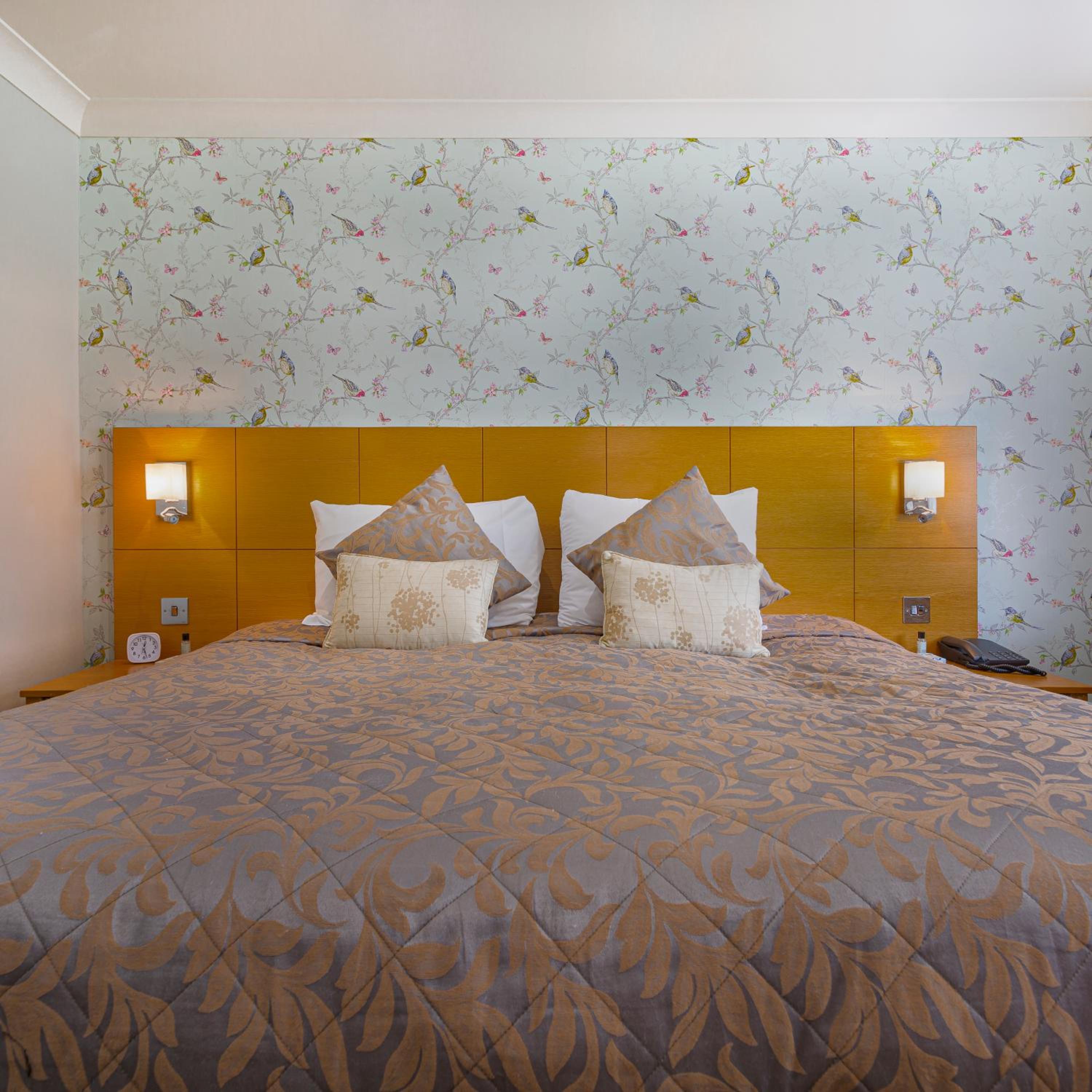 Double Room photo 3