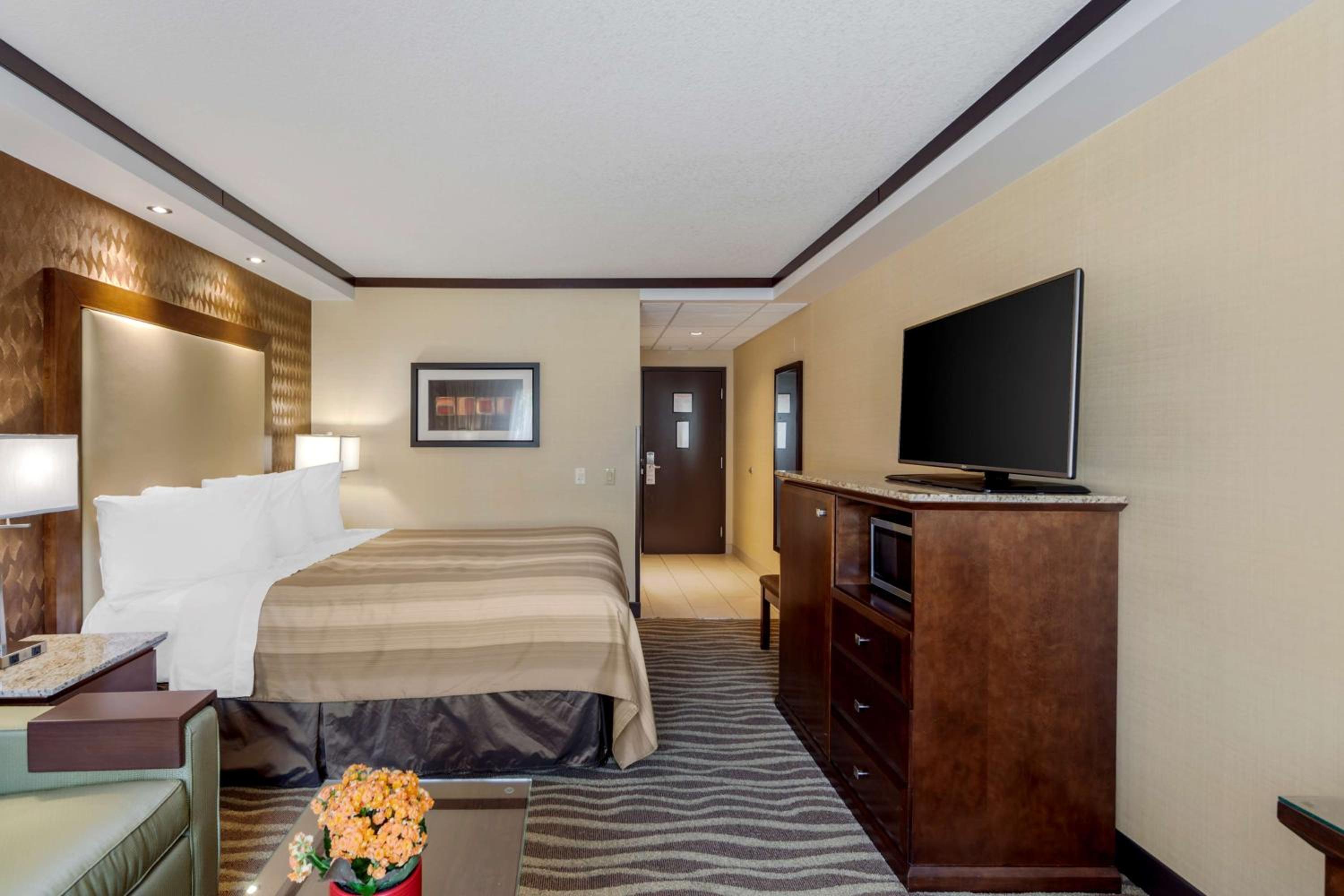 Queen Room with Sofa Bed and Roll-In Shower - Disability Access/Non-Smoking - Photo 3