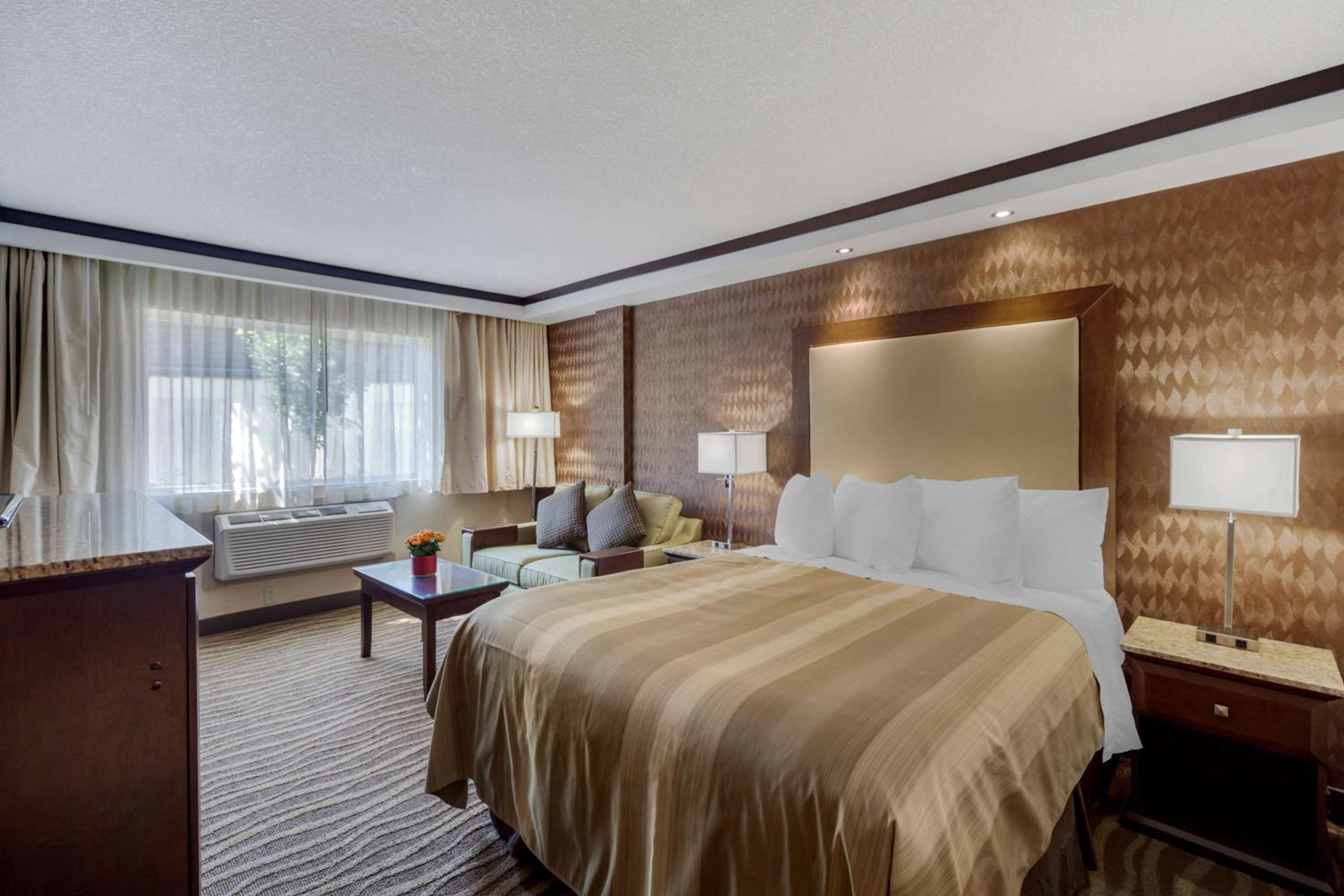 Queen Room with Sofa Bed and Roll-In Shower - Disability Access/Non-Smoking - Photo 4